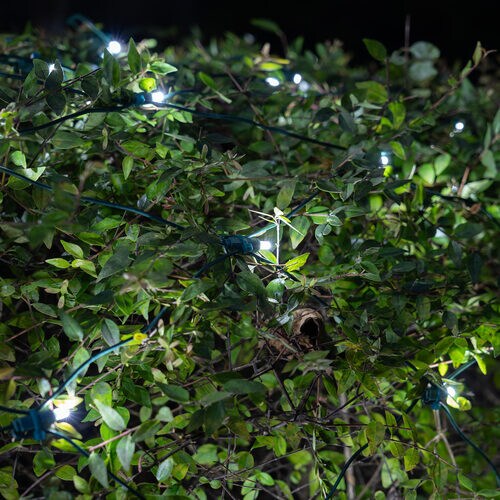 5mm 4&#x27; x 6&#x27; Cool White SoftTwinkle LED Net Lights, Green Wire