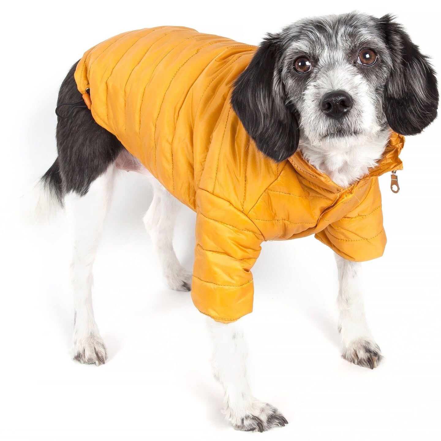 Edge Collections - Large - Orange - Adjustable Lightweight Sporty Avalanche Pet Coat - 1 Piece