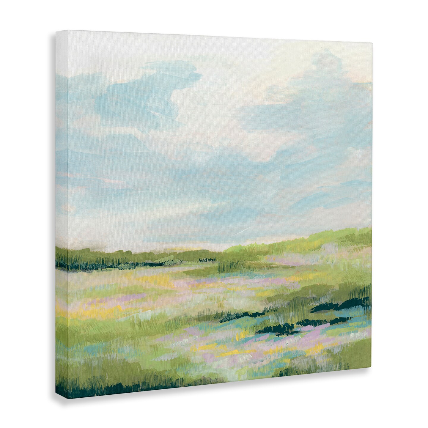 Stupell Industries Pastel Meadow Landscape Canvas Wall Art Design by June Erica Vess