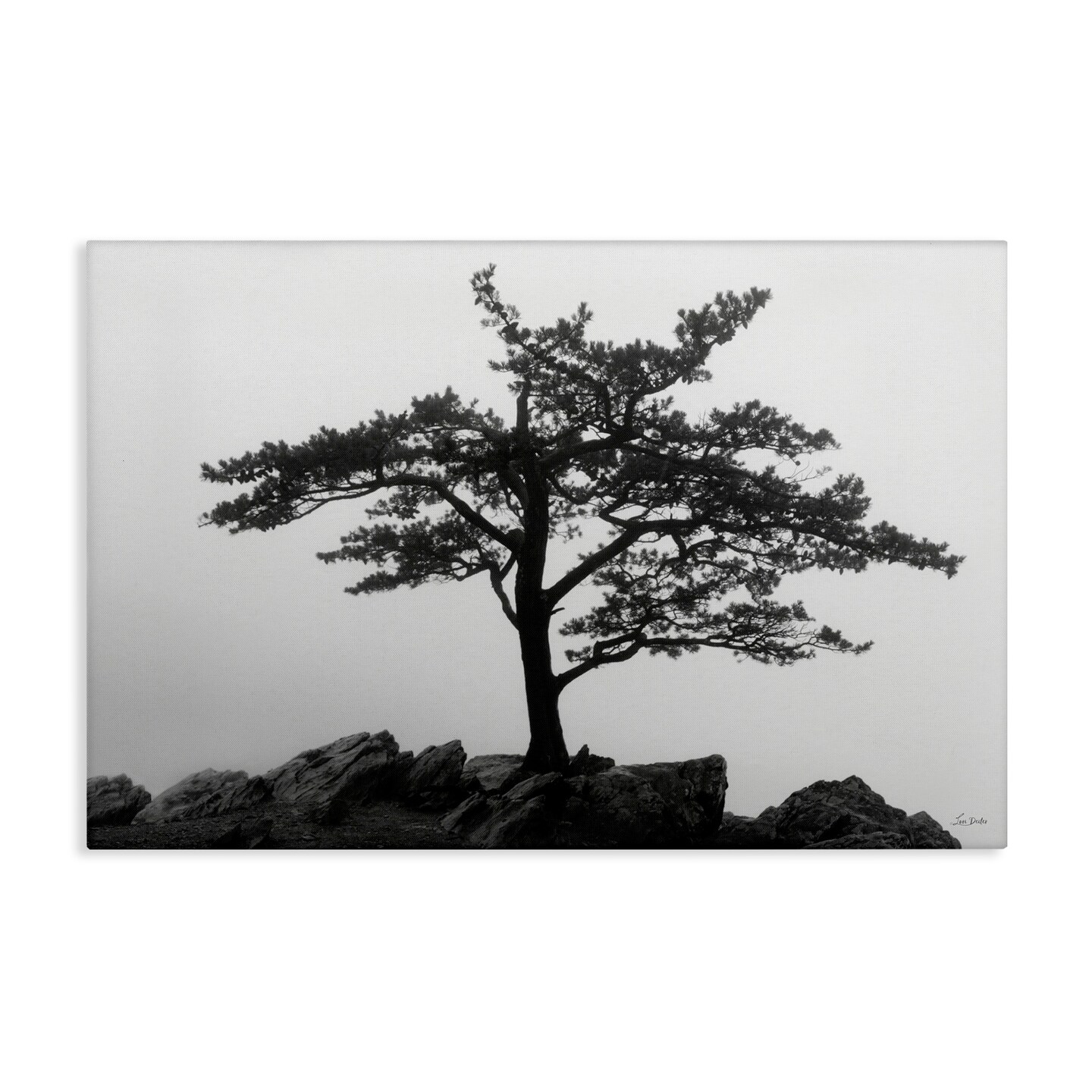 Stupell Industries Lone Tree on Rocks Canvas Wall Art Design by Lori Deiter