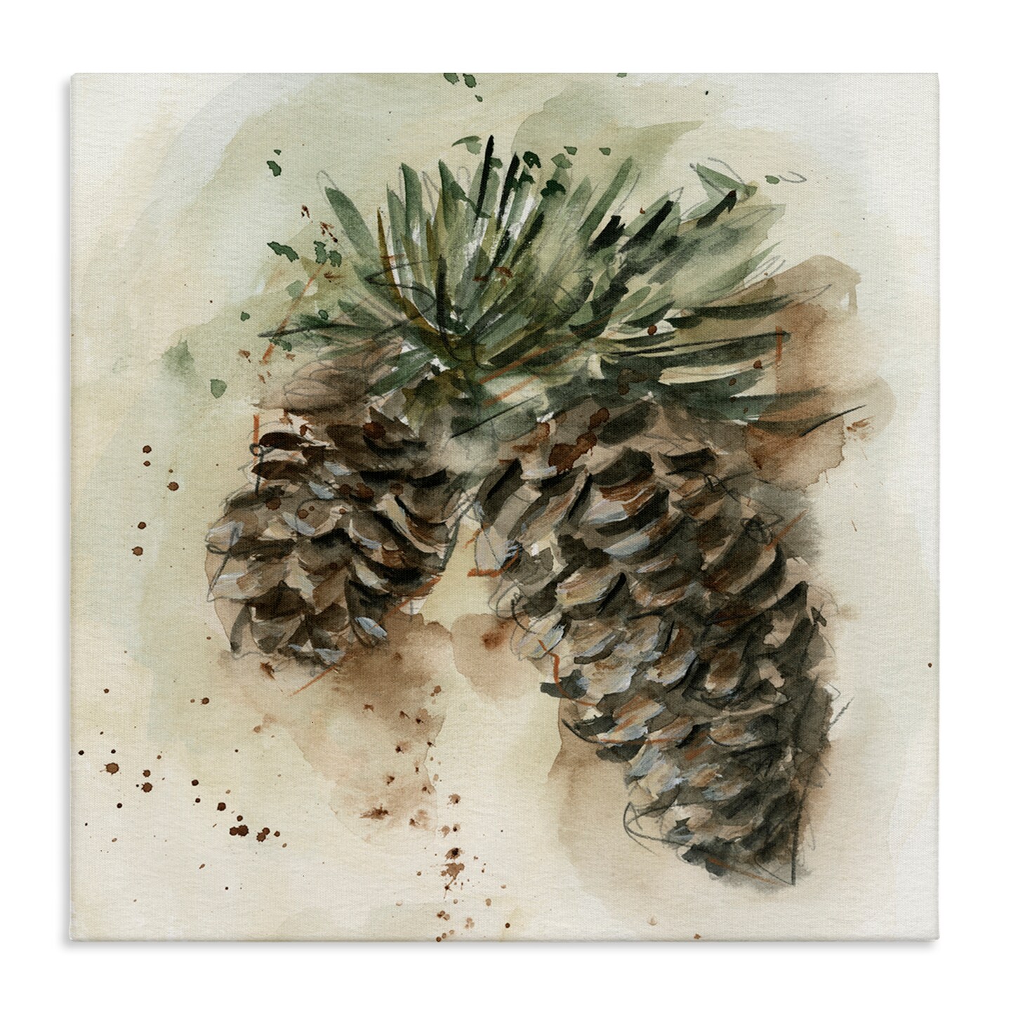 Stupell Industries Pine Cone Watercolor Canvas Wall Art Design by Ethan Harper