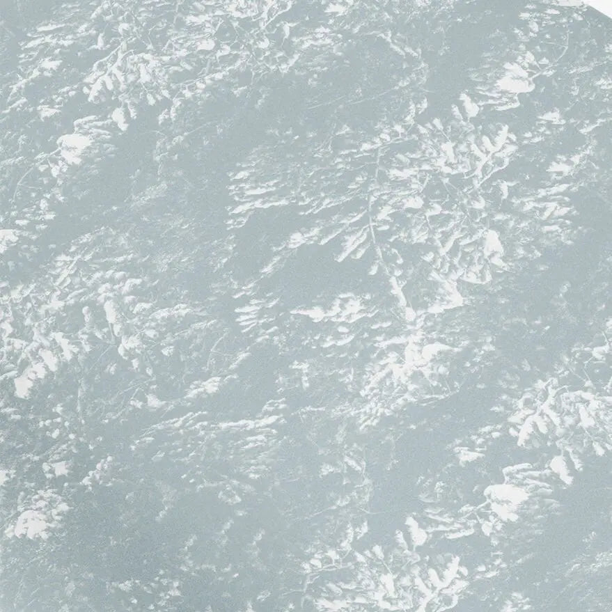 Pale Blue Holiday Trees Gift Wrap