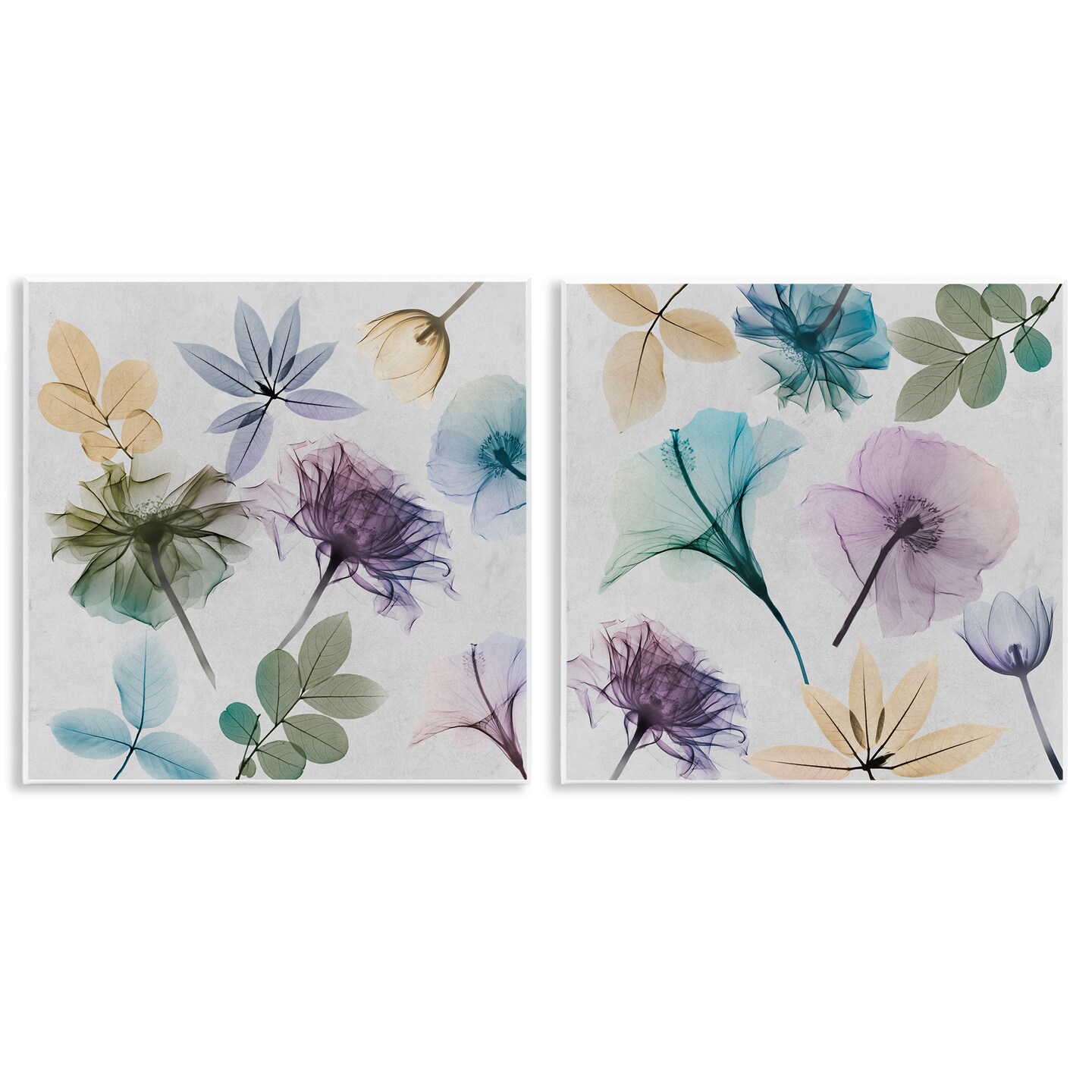 Stupell Industries X-Ray Floral Collage 2 pc Wall Plaque Art Set Design by Albert Koetsier
