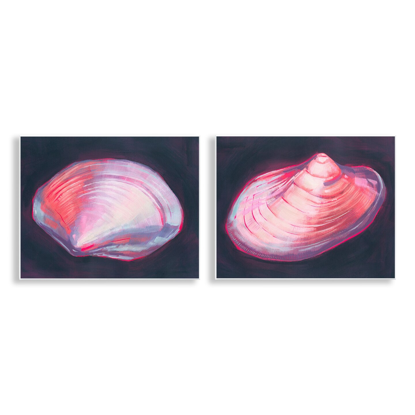 Stupell Industries Pink Clam Shells  2 pc Wall Plaque Art Set Design by Grace Popp