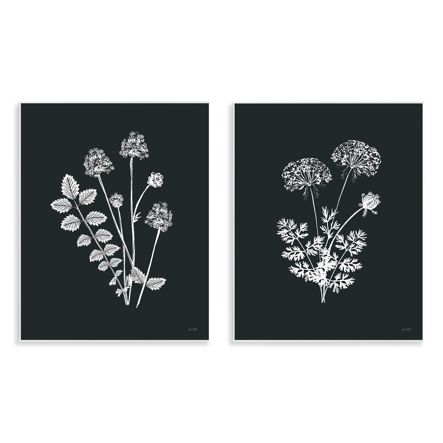 Stupell Industries Black and White Flower Cluster 2 pc Wall Plaque Art Set Design by House Fenway