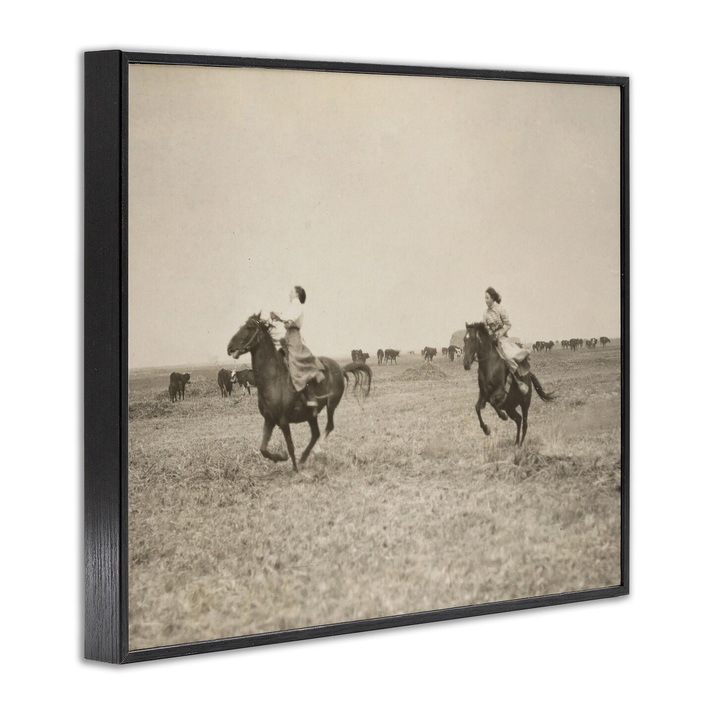 Stupell Industries Galloping Cowgirl Friends Framed Giclee Wall Art Design by Daphne Polselli