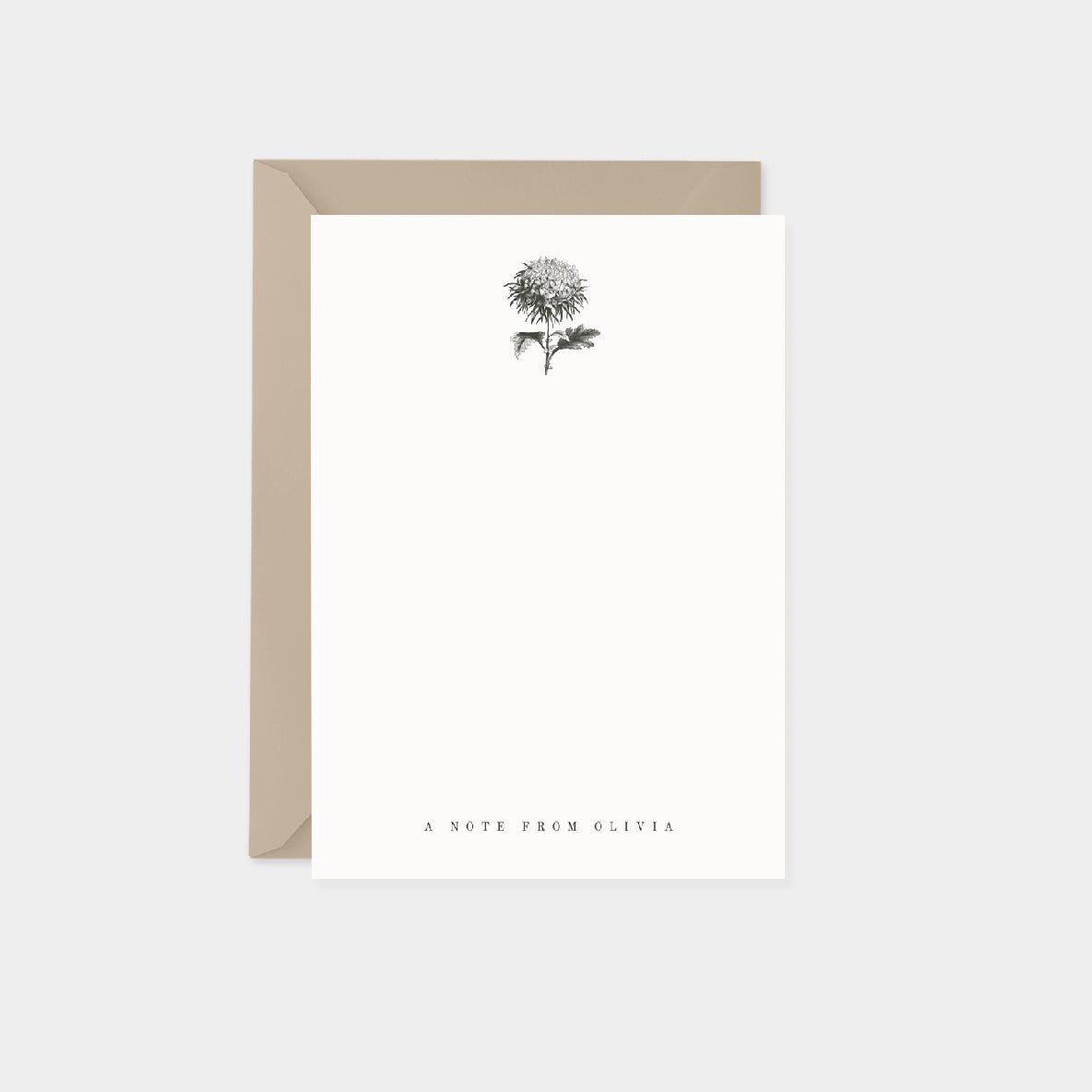 Japanese Chrysanthemum Botanical Note Cards