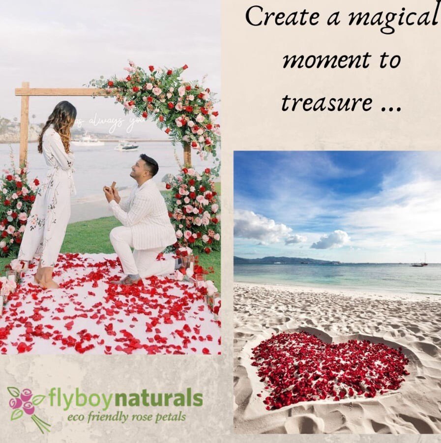 Red Eco-friendly Real Preserved Rose Petals 30 cups - image9