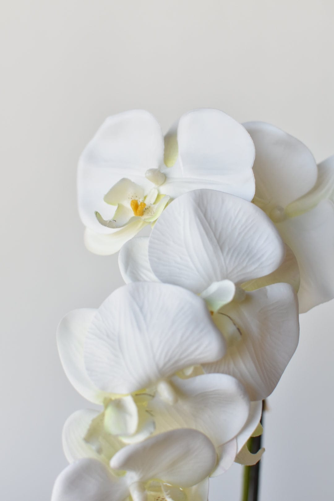 22&#x22; Faux Phalaenopsis Orchid in Blue/White Container - 1OR