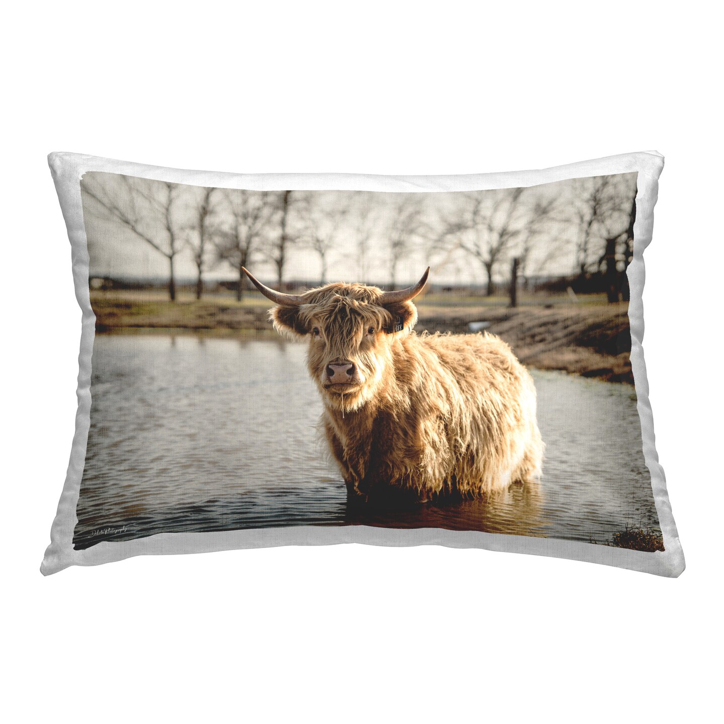 Swimming Highland Cattle Design by Dakota Diener Throw Pillow 
