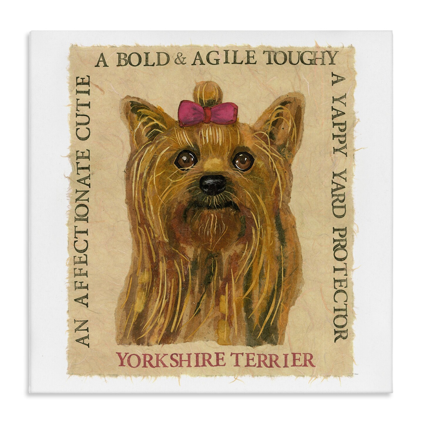 Stupell Industries Fun Yorkshire Terrier Phrases Canvas Wall Art Design by Nancy Overton