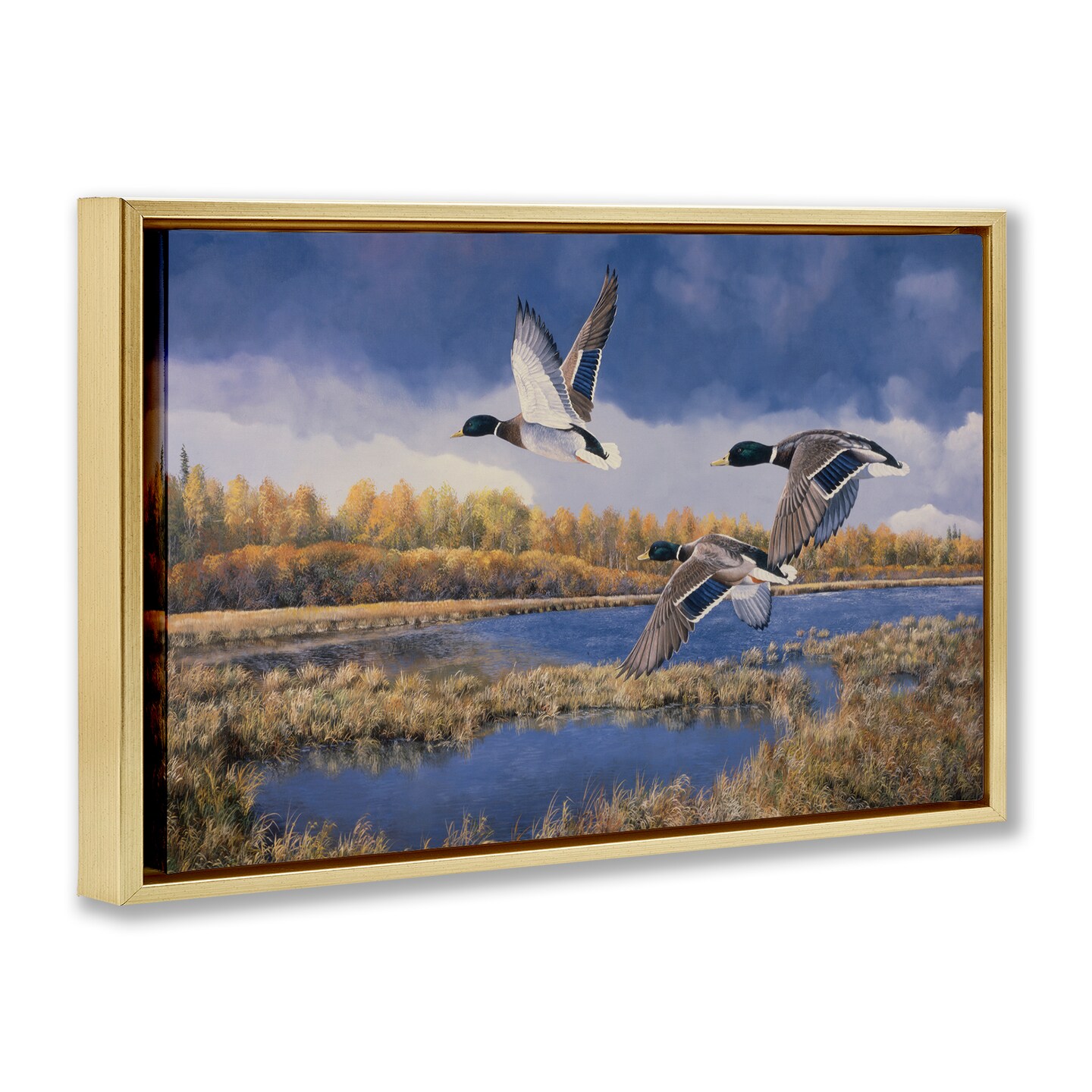 Stupell Industries Ducks Heading South Framed Floater Canvas Wall Art Design by Andrew Kiss