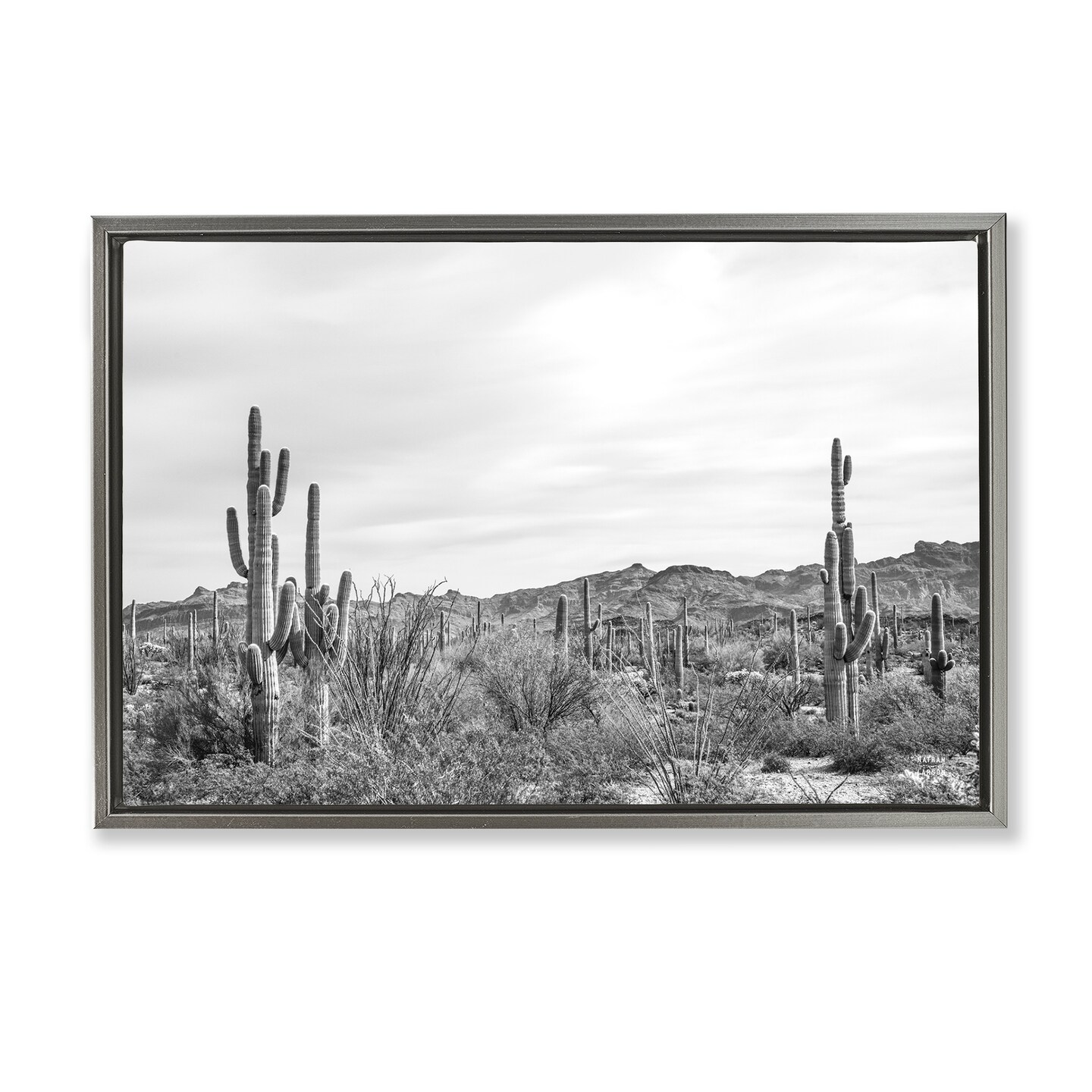 Stupell Industries Sonoran Desert Wonderland Framed Floater Canvas Wall Art Design by Nathan Larson