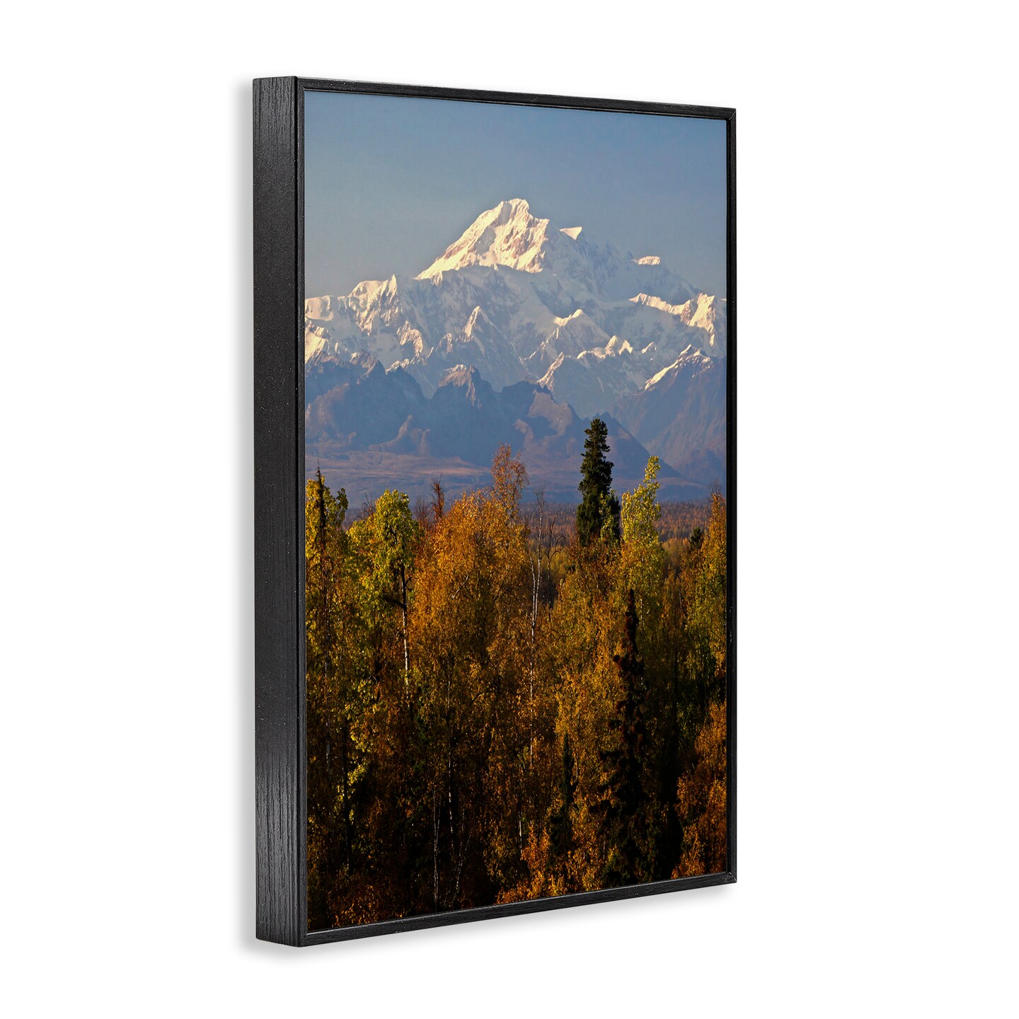 Stupell Industries Danali Autumn Landscape Framed Giclee Wall Art Design by Shane Lamb