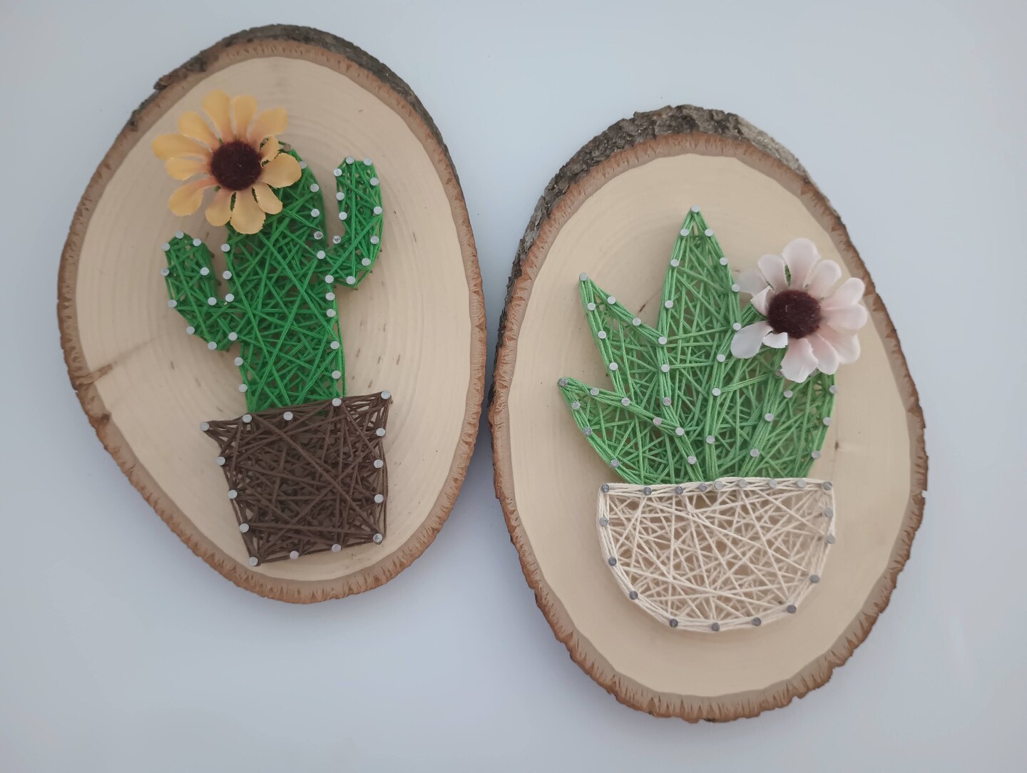 String Art Cactus with Flower