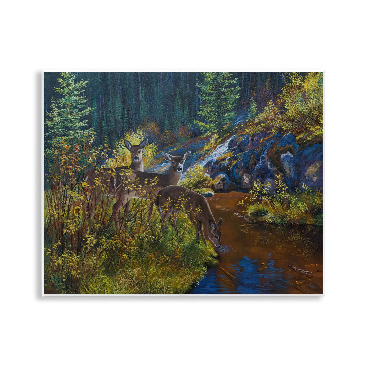 Stupell Industries Deer Drinking from River Wall Plaque Art Design by Andrew Kiss