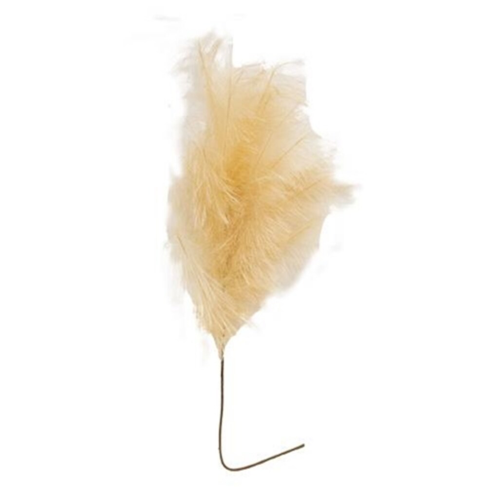 Weeping Pampas Grass Branch