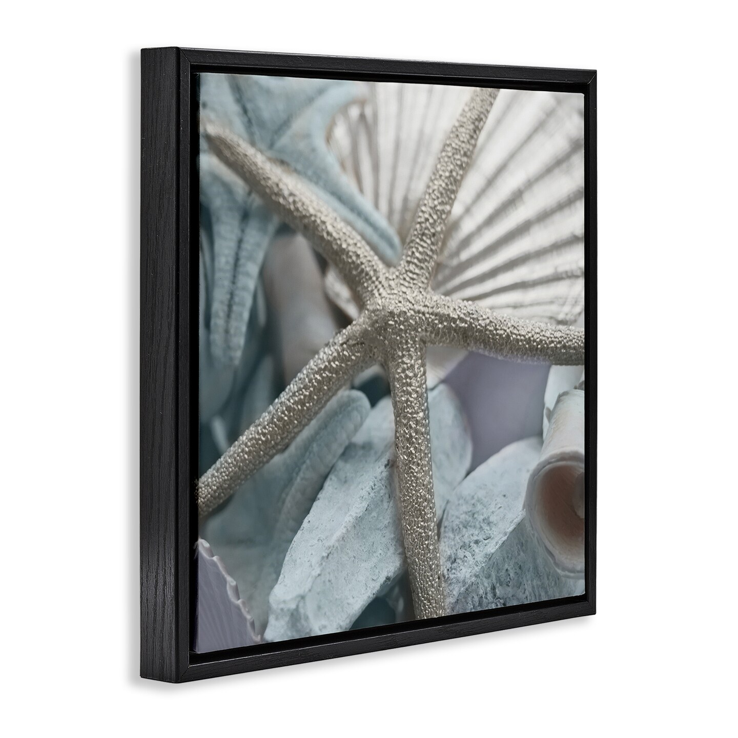 Stupell Industries Seashells &#x26; Starfish Framed Floater Canvas Wall Art Design by Susan Bryant