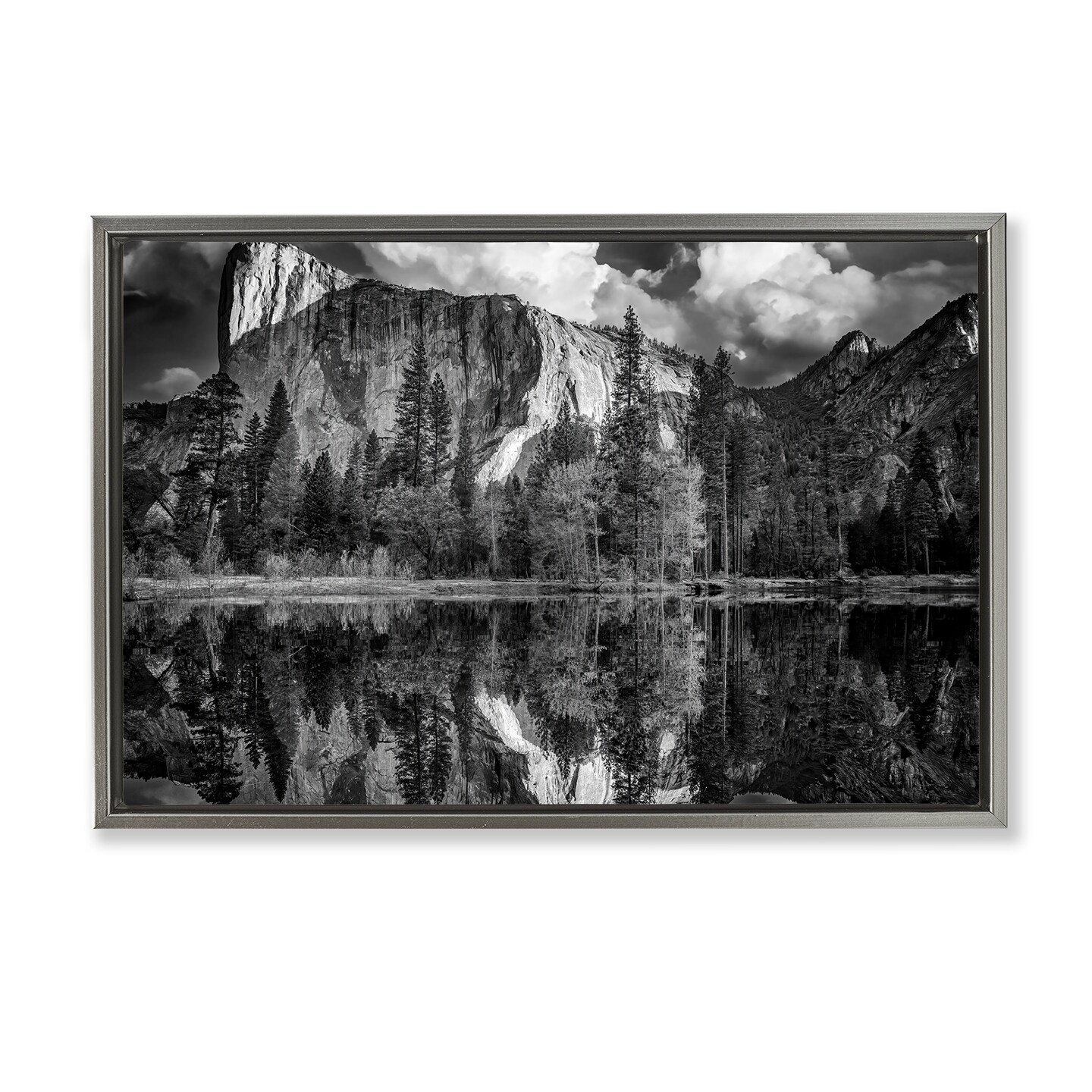 Stupell Industries Forest Trees Lake Reflection Framed Floater Canvas Wall Art Design by Rick Berk
