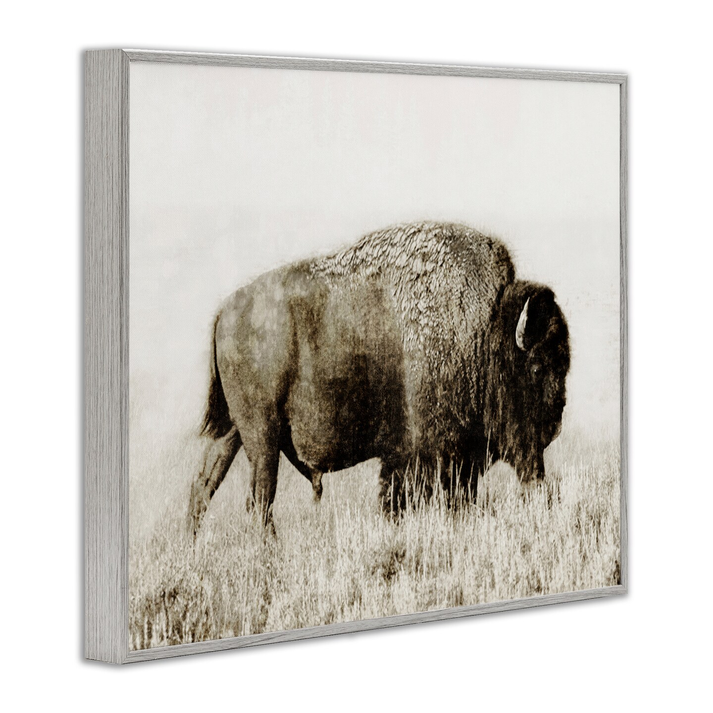 Stupell Industries Bison Grazing in Field Framed Giclee Wall Art Design by Dan Meneely