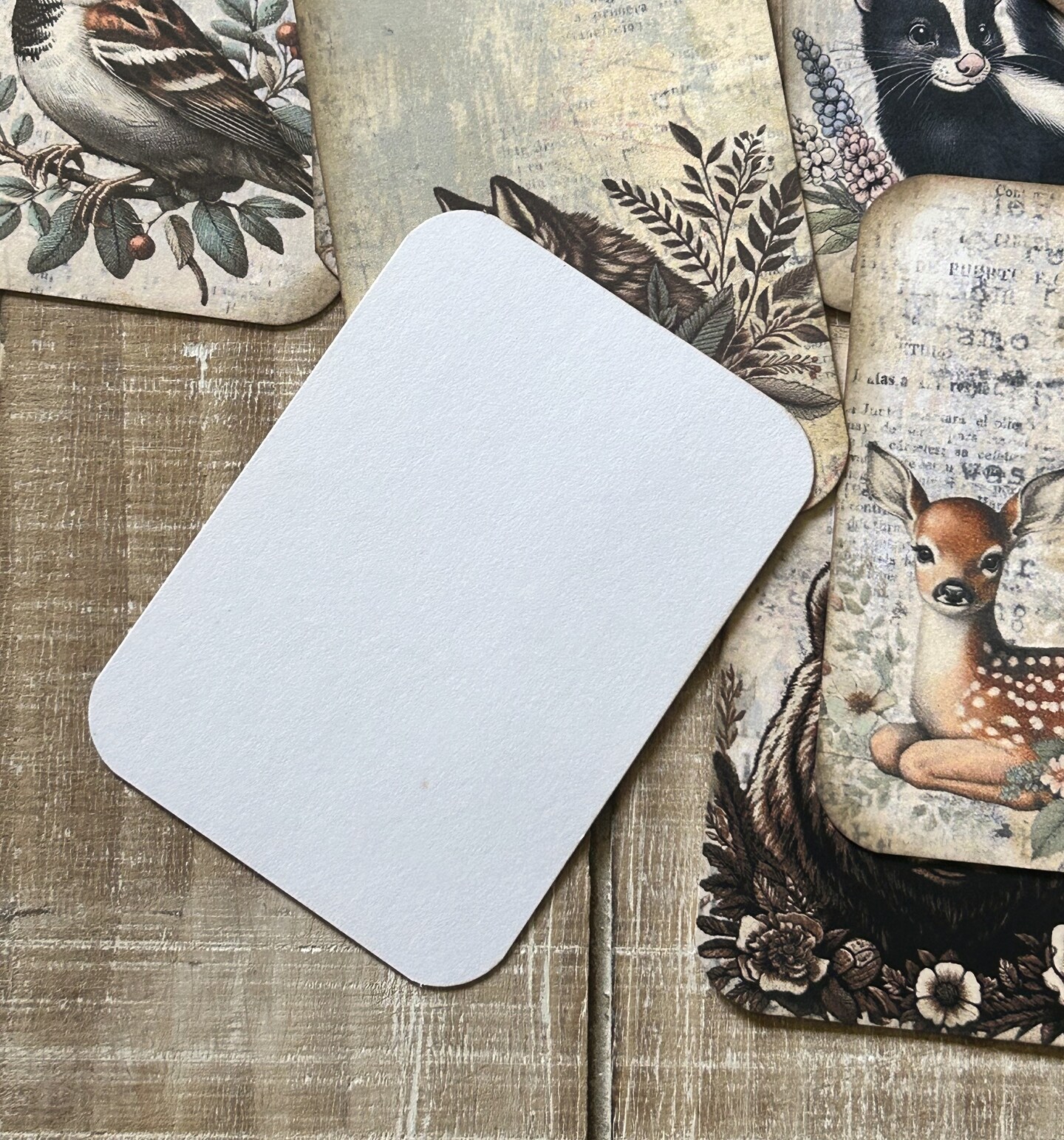 WILDTHINGS×JOURNAL STANDARD Forest animals vintage style junk journal woodland animals
