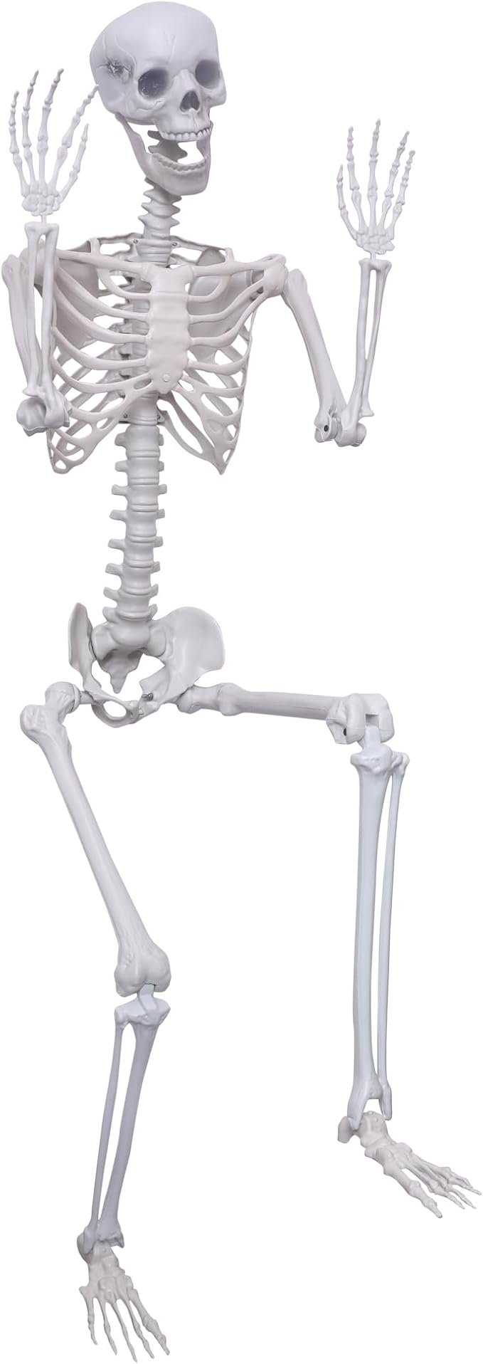 Halloween Life Size Skeleton Posable Skeleton Full Body Plastic Human with Adjustable Joints for Outdoor Indoor Halloween Decoration