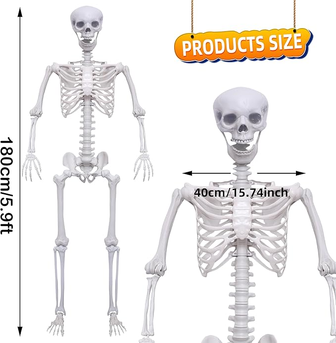 Halloween Life Size Skeleton Posable Skeleton Full Body Plastic Human with Adjustable Joints for Outdoor Indoor Halloween Decoration