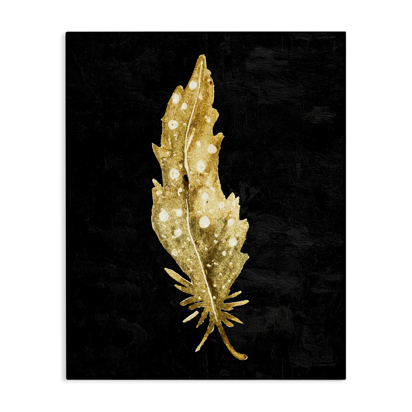 Stupell Industries Feather On Black Canvas, design by Kim Allen