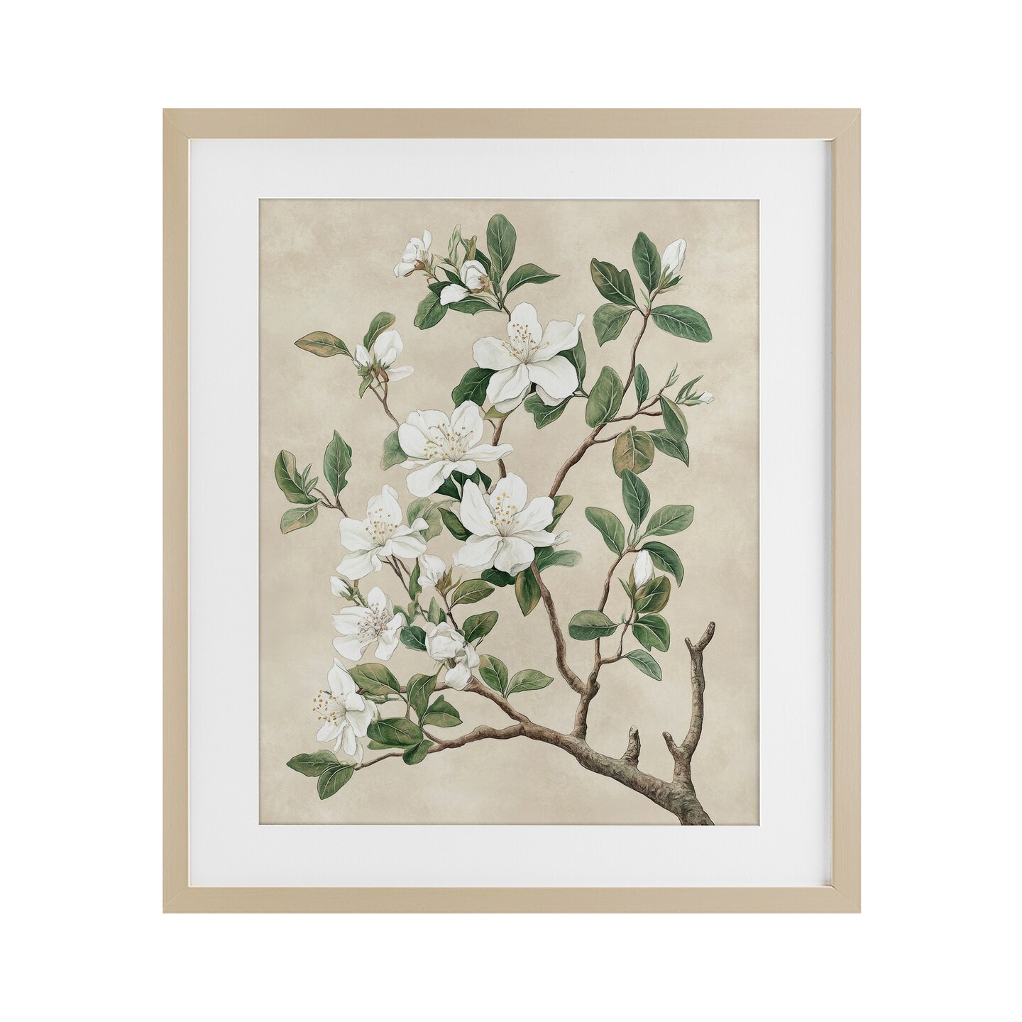 Stupell Industries Vintage White Blossomed Tree Framed Print Under Glass, design by Petal Prints Design