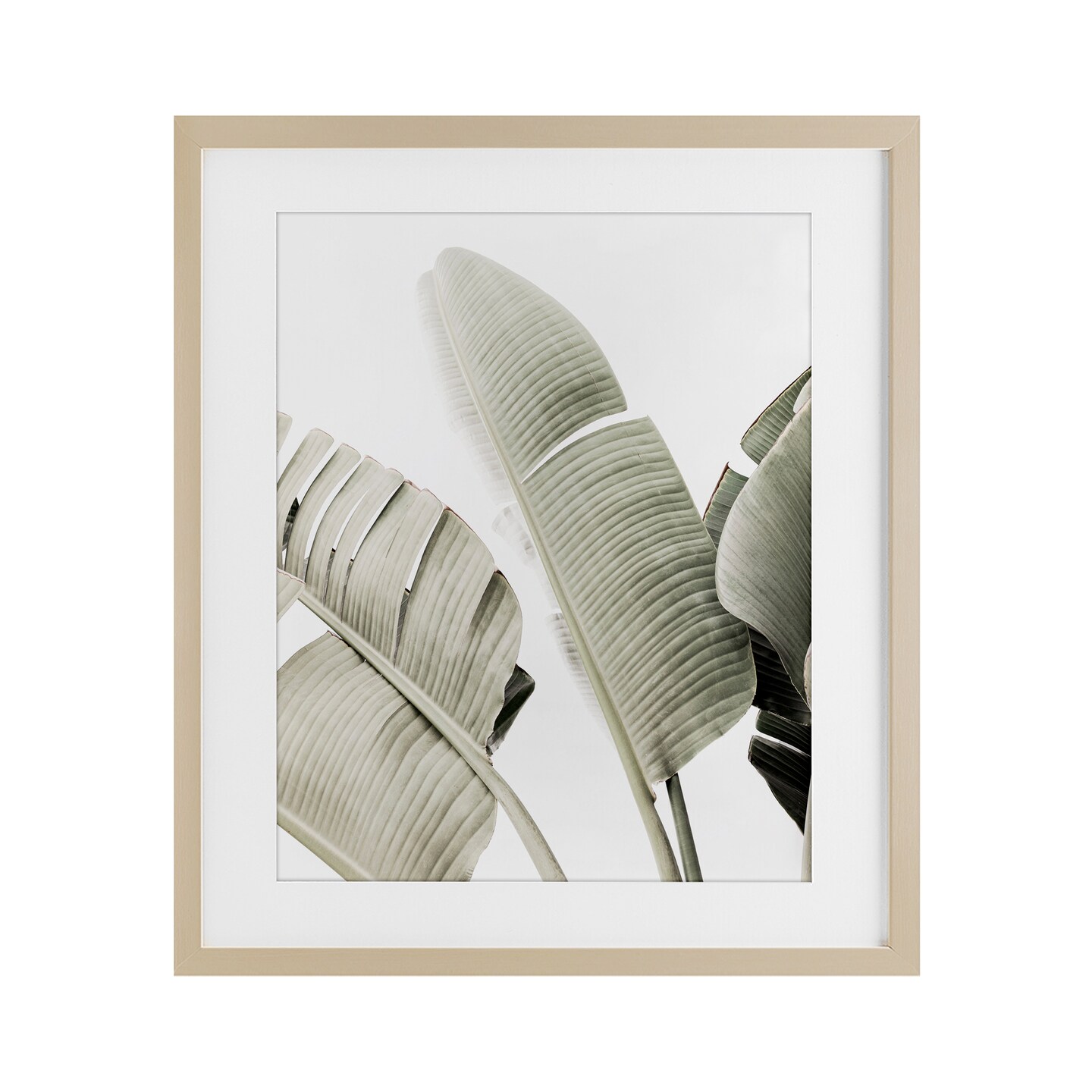 Stupell Industries Muted Banana Leaves Framed Print Under Glass, design by Sisi and Seb