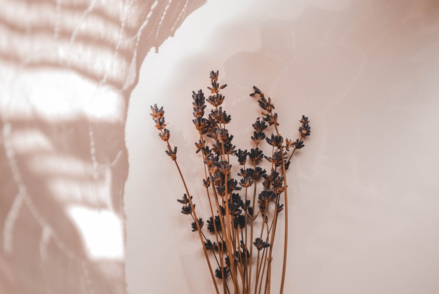 storefront banner