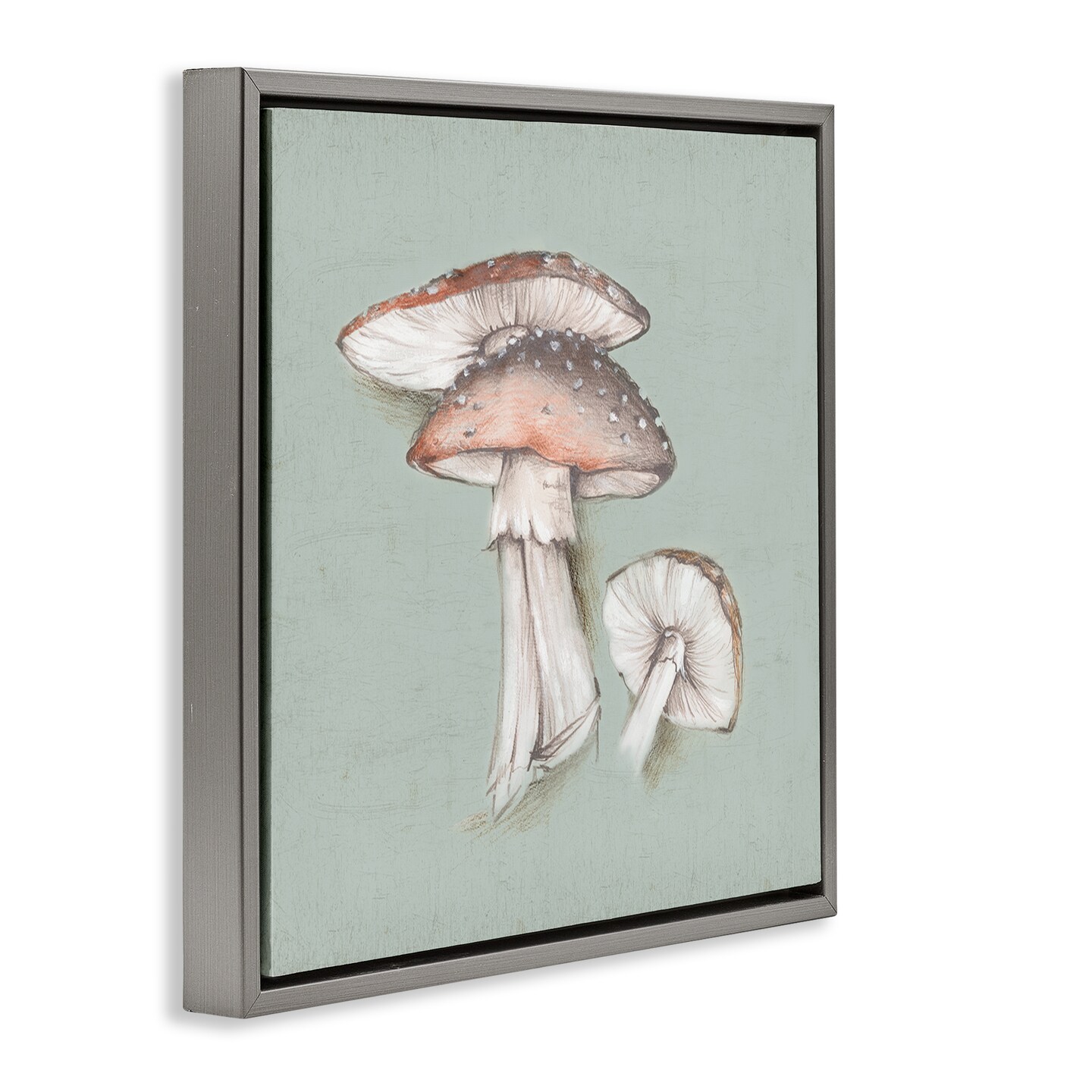 Stupell Industries Mushroom Bunch Drawing Framed Floater Canvas Wall Art Design by Eli Jones