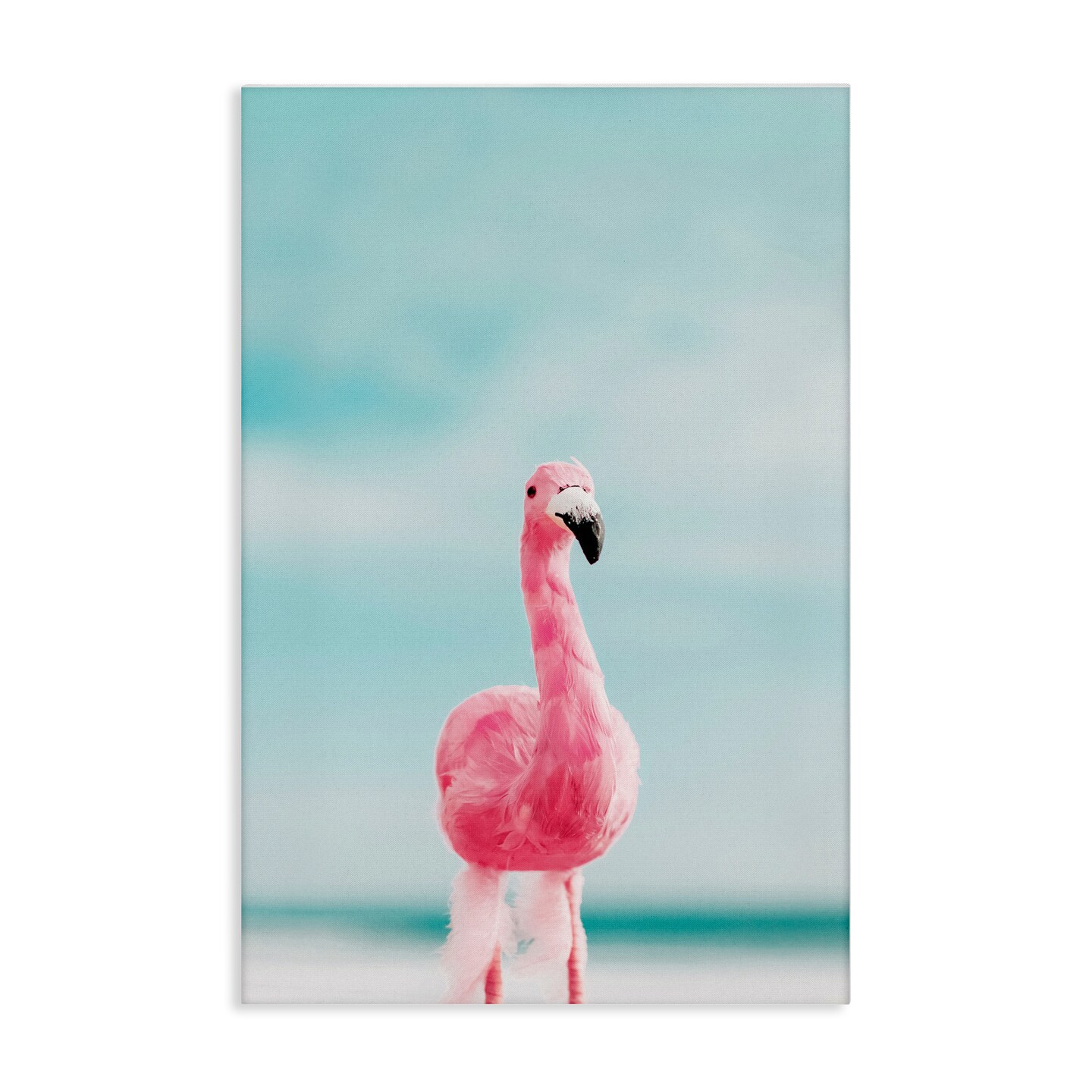 Stupell Industries Funky Summer Flamingo Canvas Wall Art Design by Nataly White