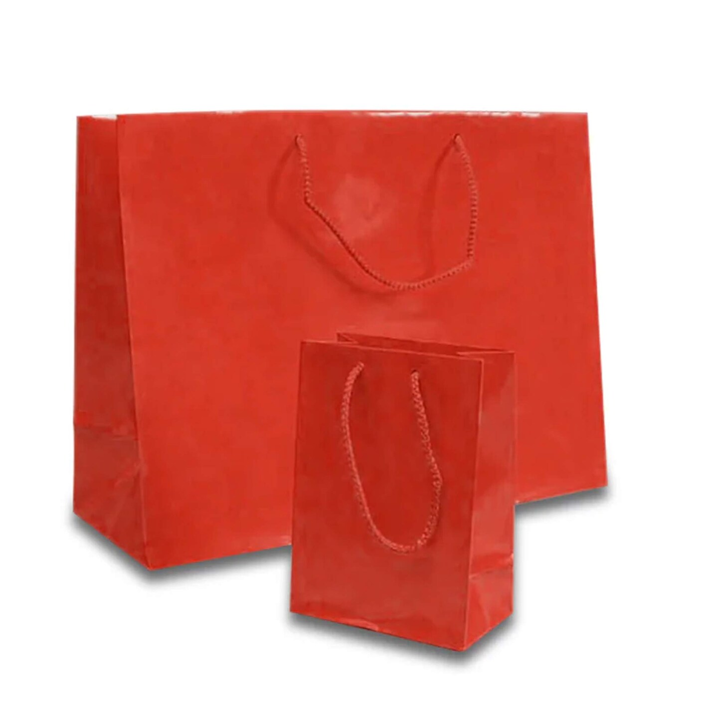 Perfect Gift Packaging with Glossy Euro Totes 9 3/4'' x 4 '' x 7 3/4''