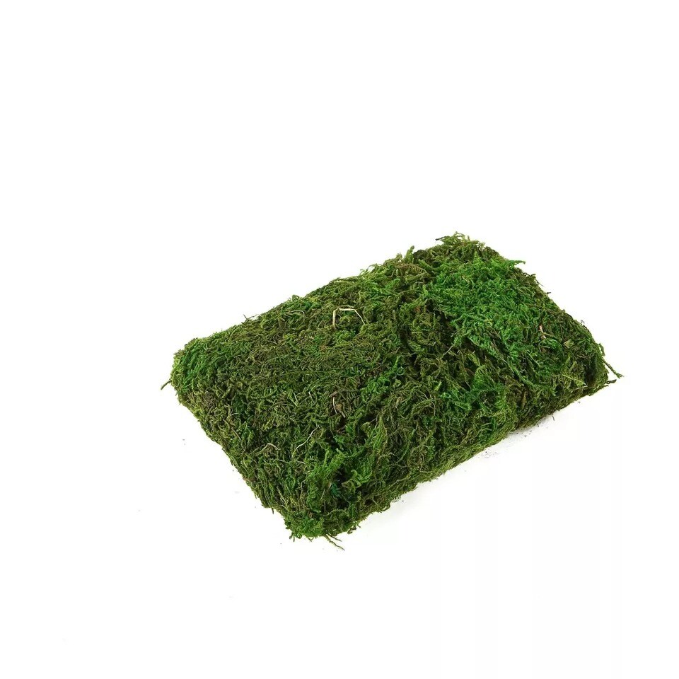 50 grams Green Natural Reindeer Moss Vase Fillers Wedding Party Decorations