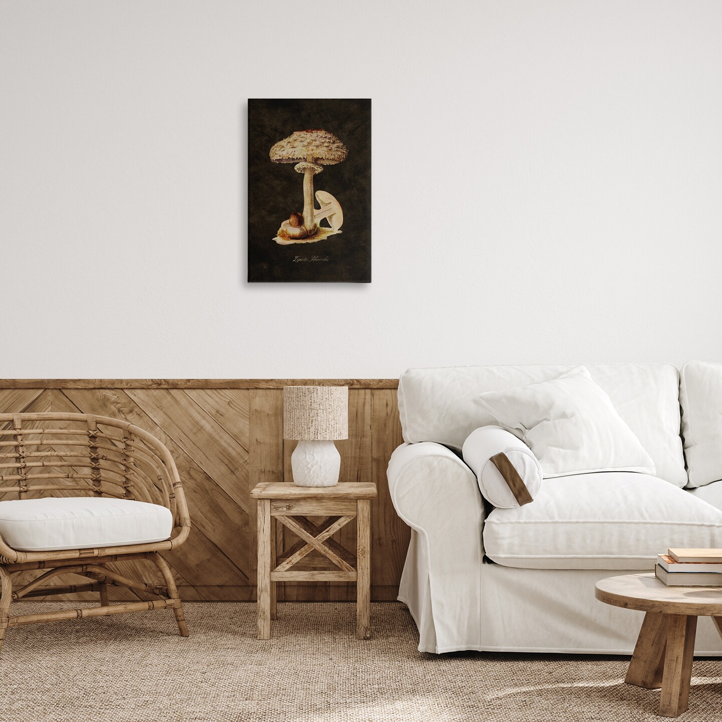 Stupell Industries Vintage Mushroom Study Canvas Wall Art Design by Tina Higgins Designs, Inc.