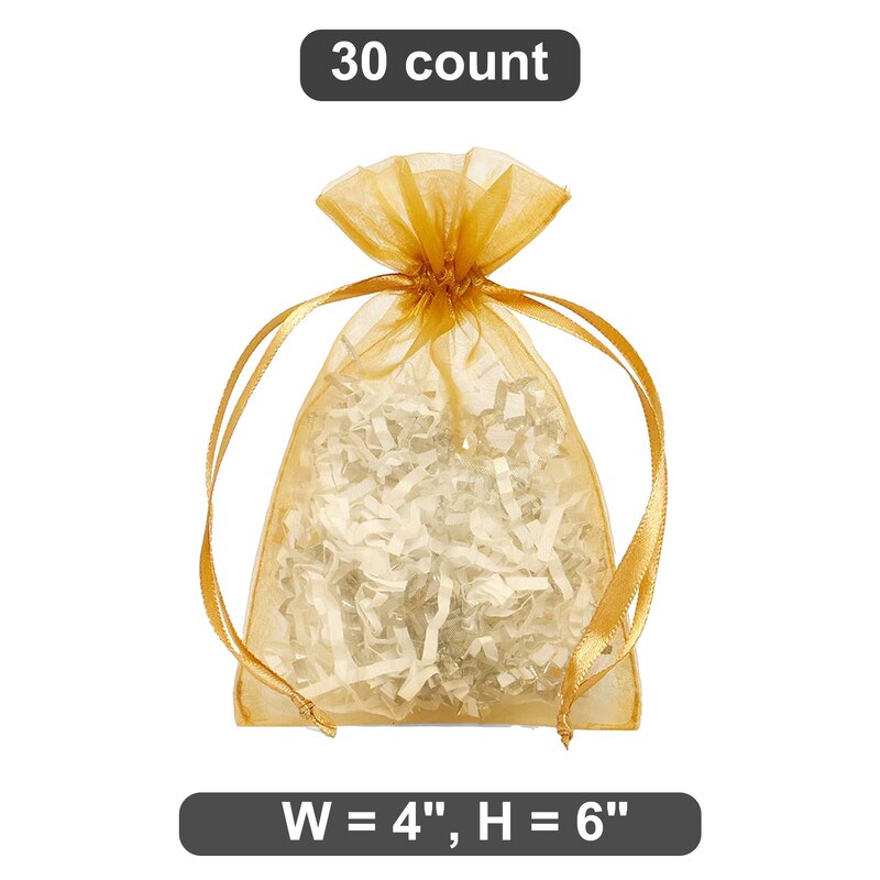 Great for Party Favors 4&#x22; x 6&#x22; Organza Bag