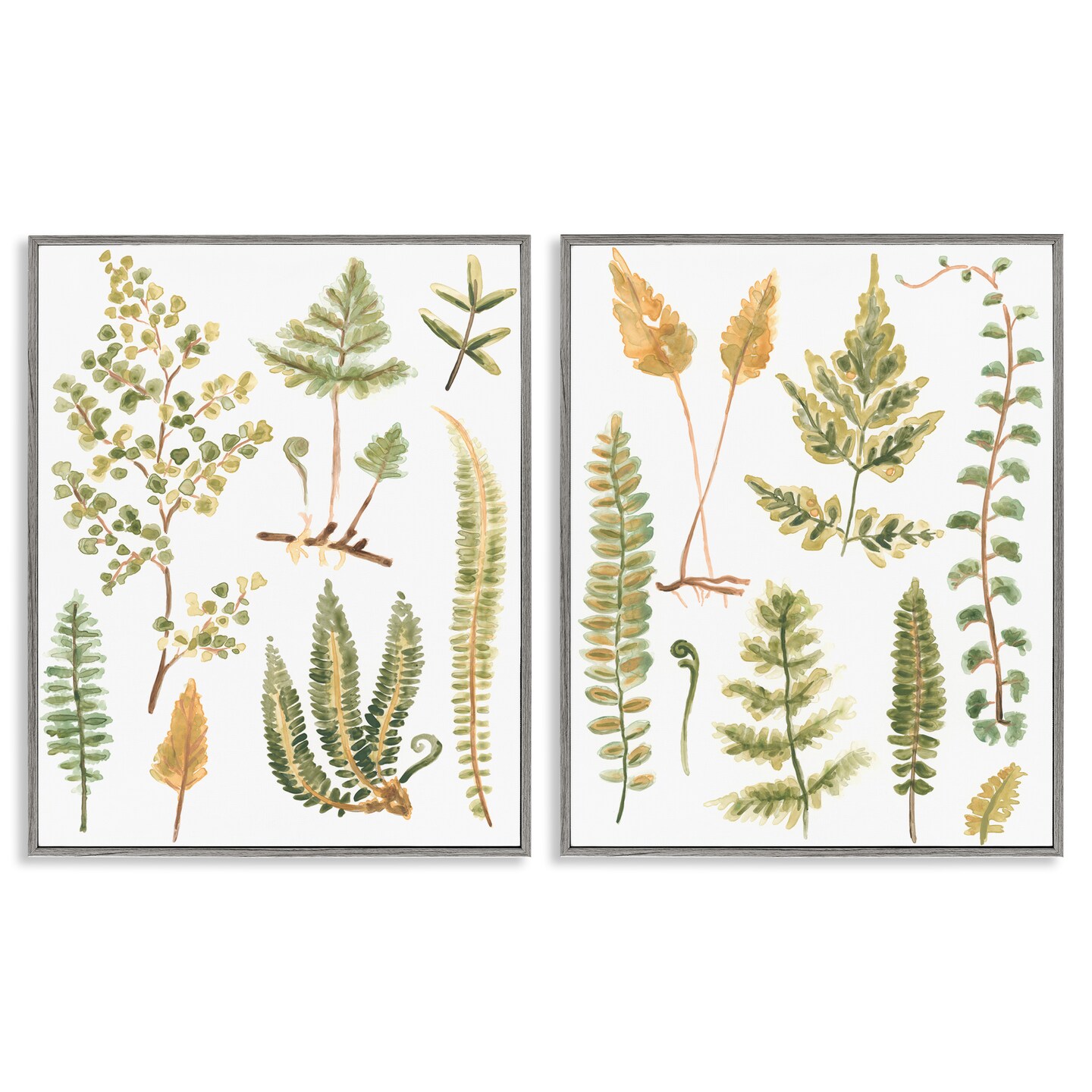 Stupell Industries Watercolor Fern Leaves 2 pc Framed Giclee Wall Art Set Design by June Erica Vess