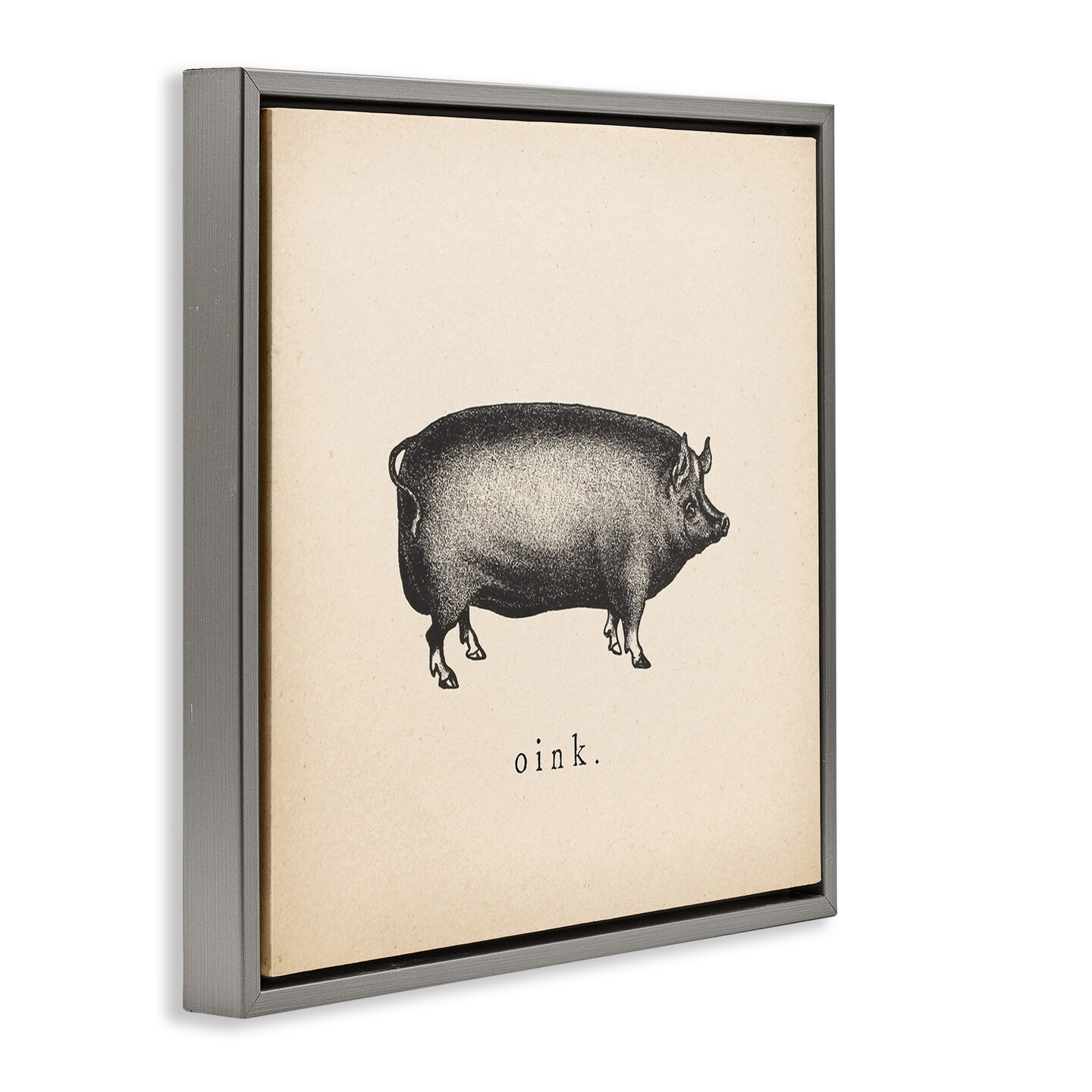 Stupell Industries Oink Farm Pig Sounds Framed Floater Canvas Wall Art Design by Wild Apple Portfolio