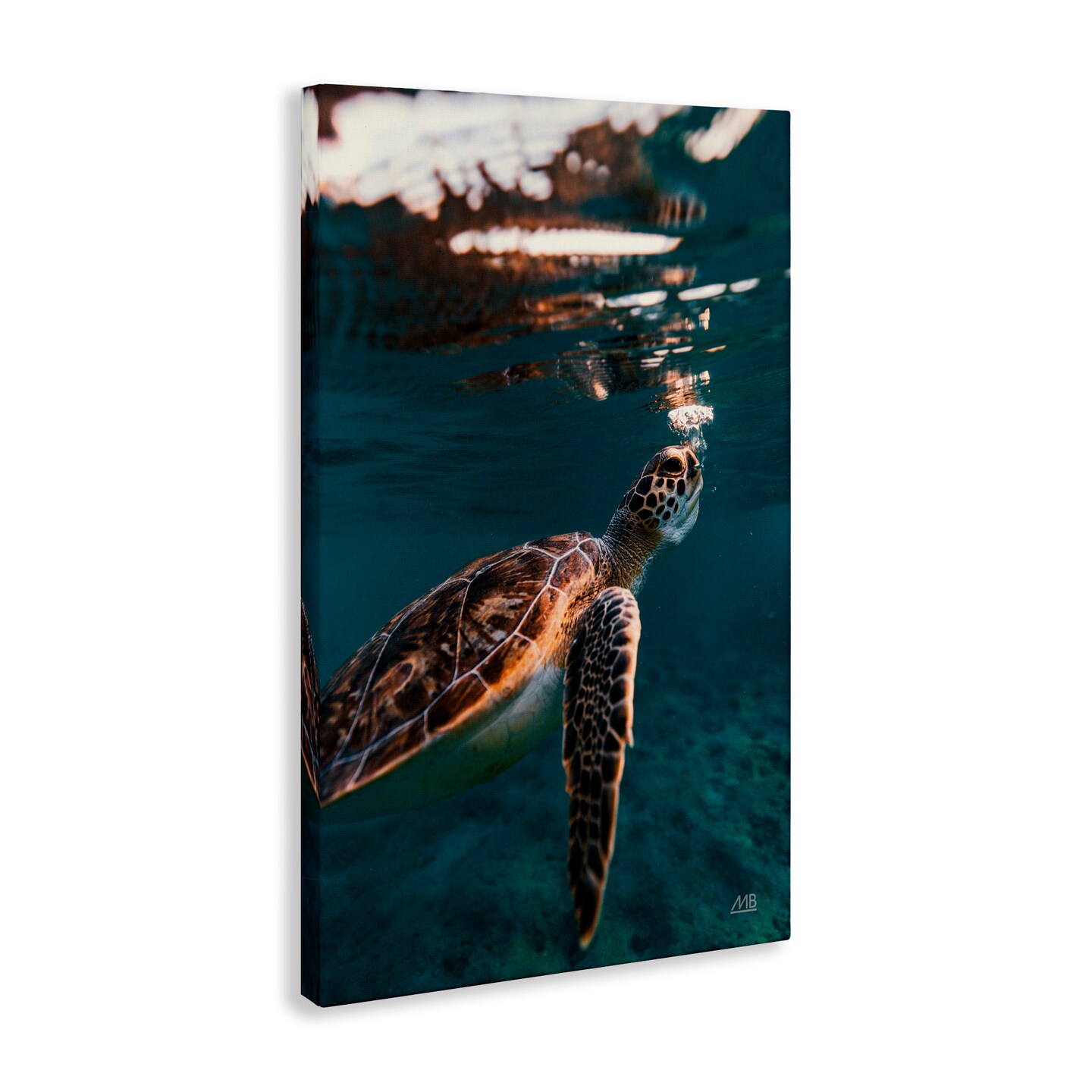 Stupell Industries Blowing Bubbles Turtle Canvas Wall Art Design by Max Blakesberg Studios