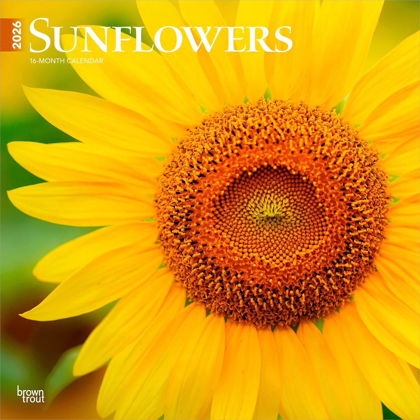 Sunflowers | 2026 12 x 24 Inch (Hanging) Monthly Square Wall Calendar | Plastic-Free