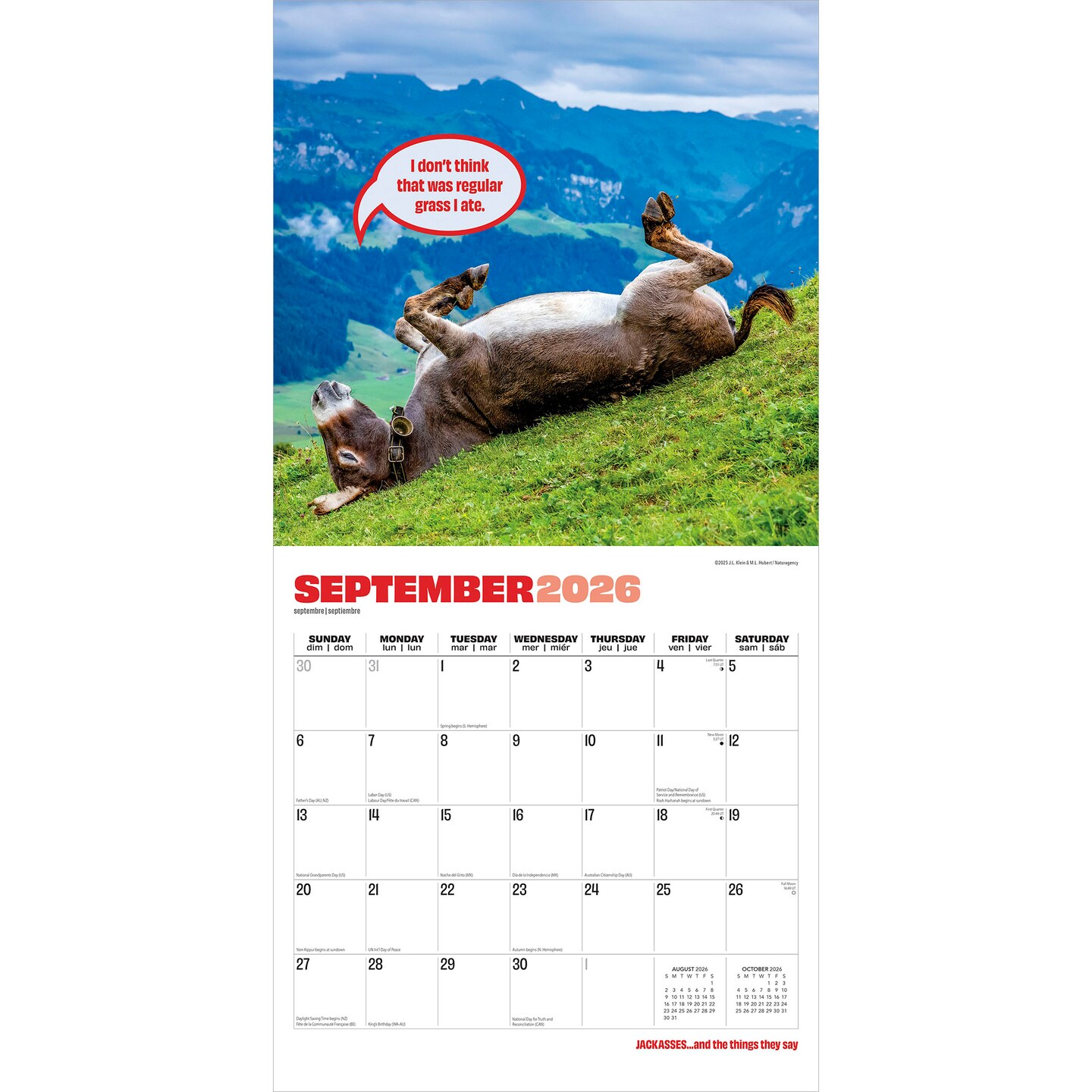 Jackasses | 2026 12 x 24 Inch (Hanging) Monthly Square Wall Calendar | Plastic-Free