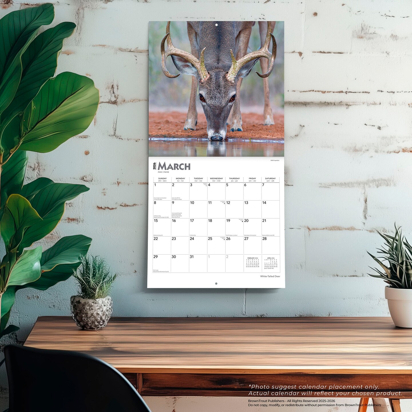 White Tailed Deer | 2026 12 x 24 Inch (Hanging) Monthly Square Wall Calendar | Plastic-Free