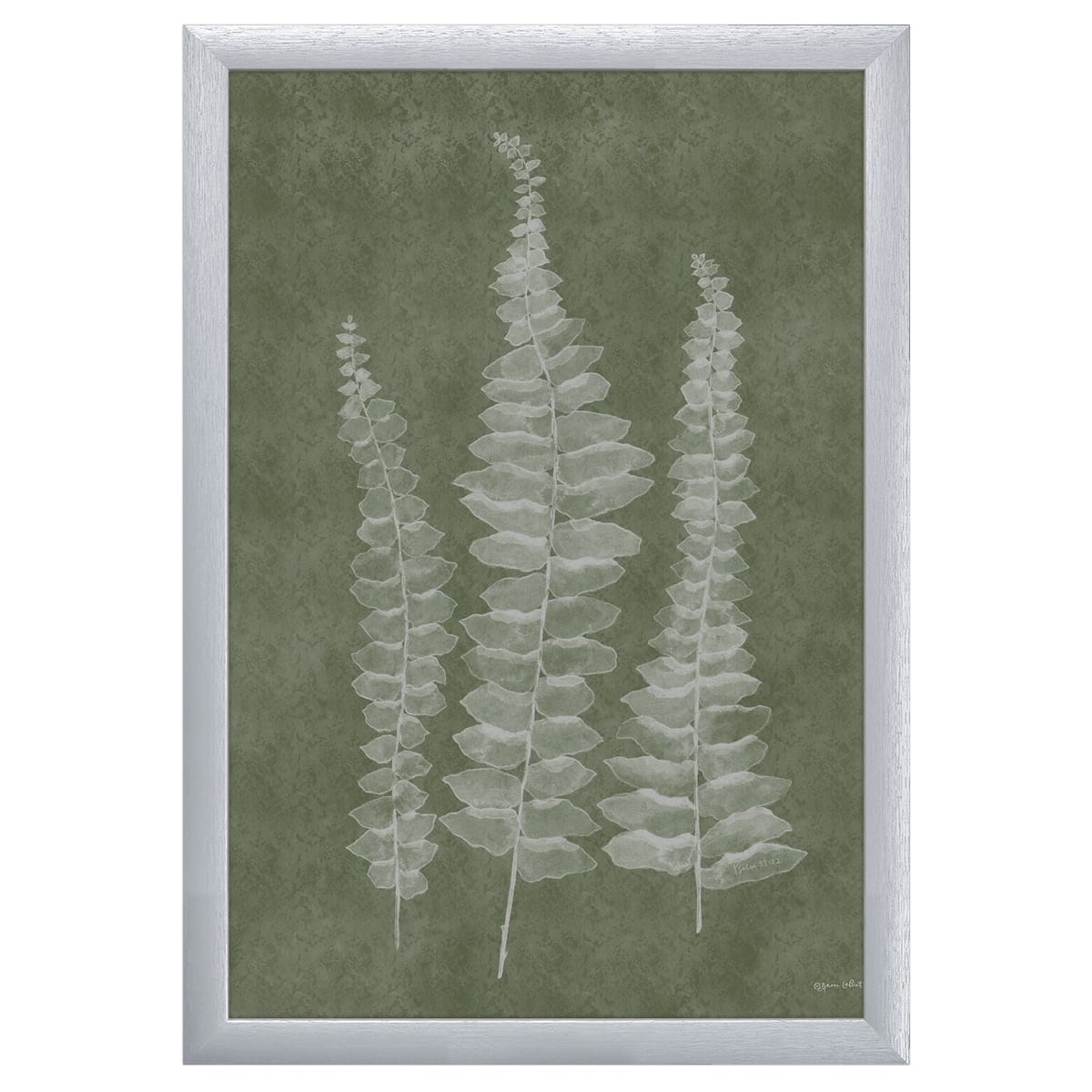 12" x 16" Woodland Ferns I Framed Wall Art, Contemporary Nature Home Décor, Glass Facing and Hanging Hardware Included