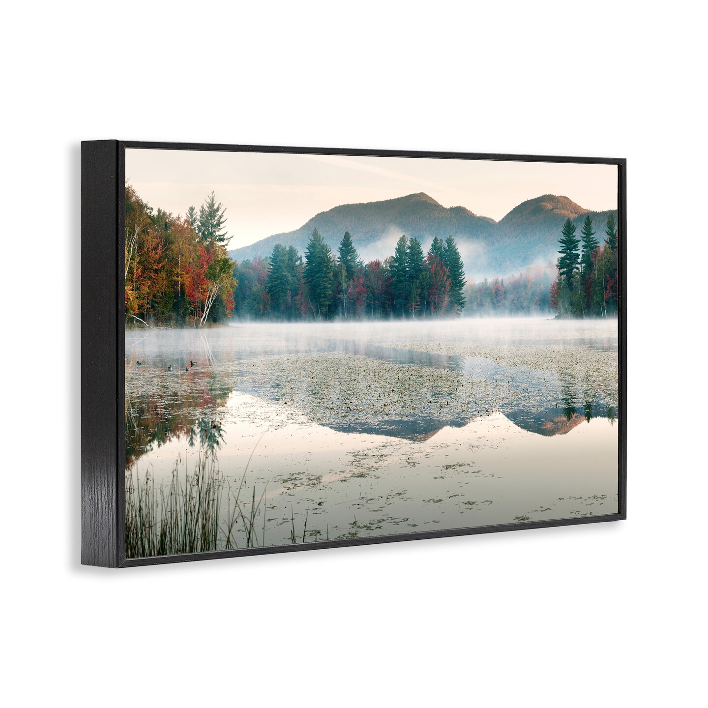Stupell Industries Fall Foliage Circling Lake Framed Giclee, design by Shelley Lake