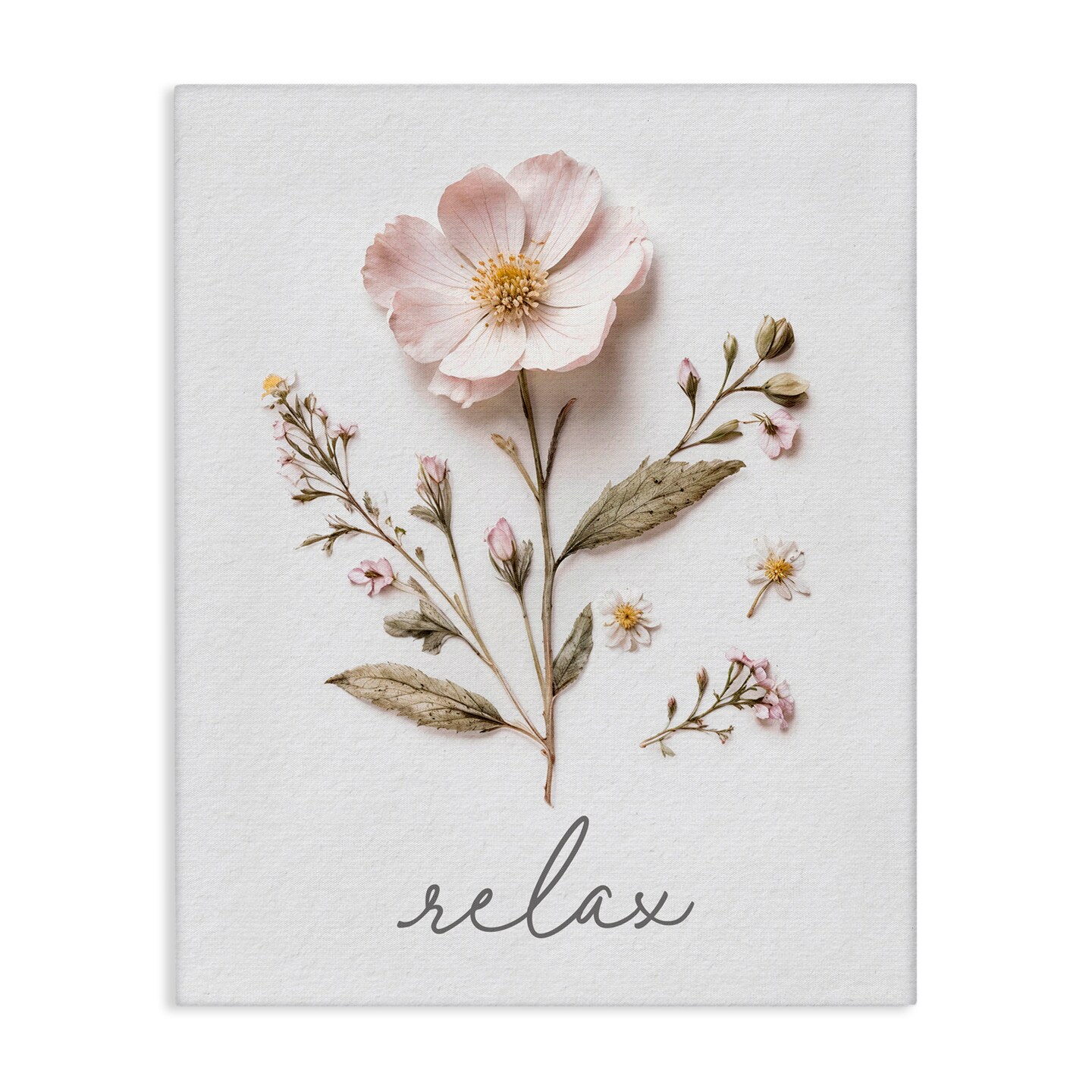 Stupell Industries Pressed Flowers Relax Canvas, design by Lettered and Lined