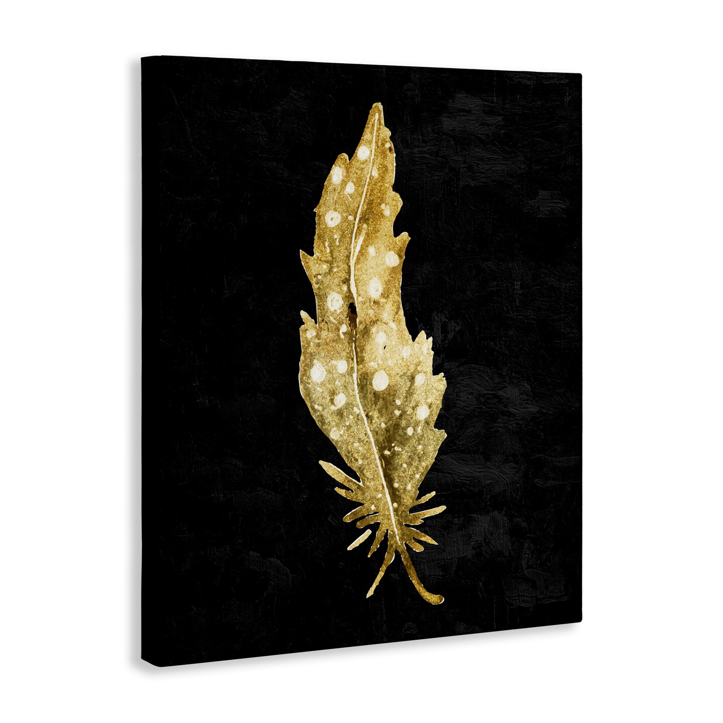 Stupell Industries Feather On Black Canvas, design by Kim Allen