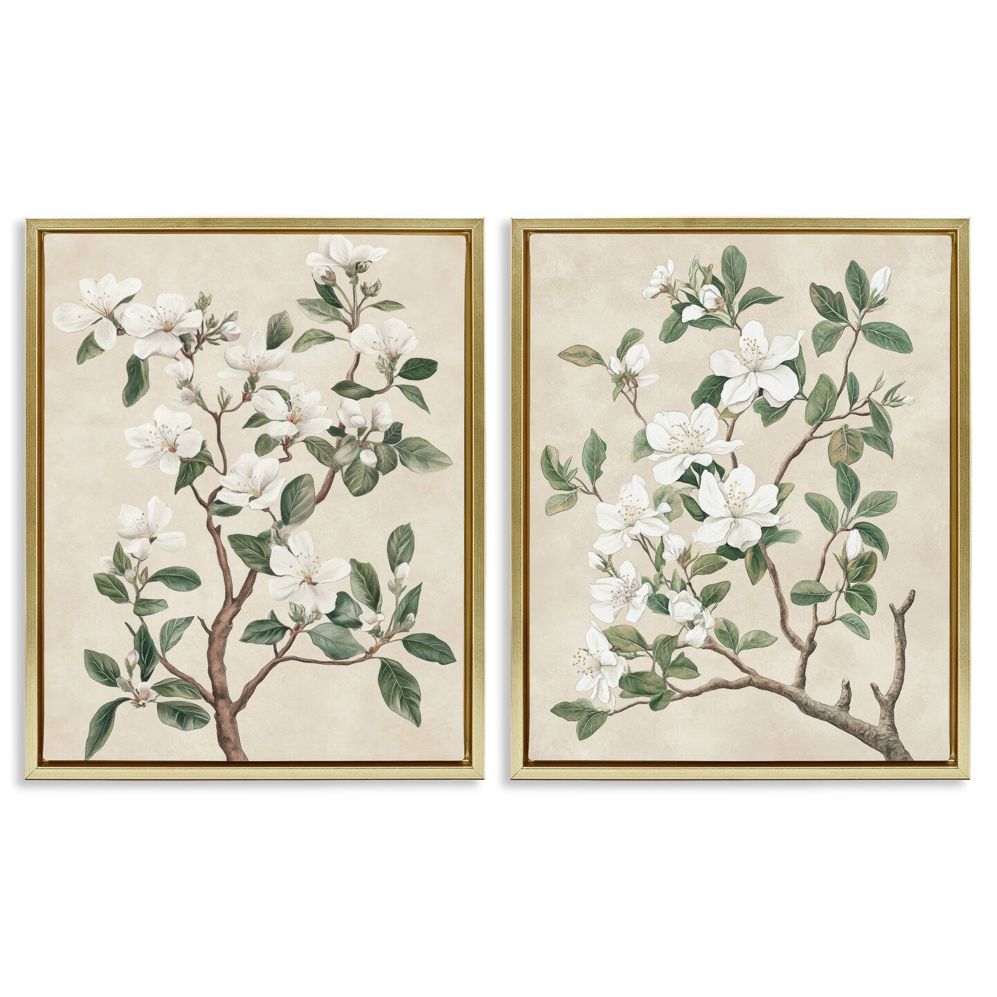 Stupell Industries Vintage White Floral Blossomed Trees 2pc Floating Frame Set, design by Petal Prints Design