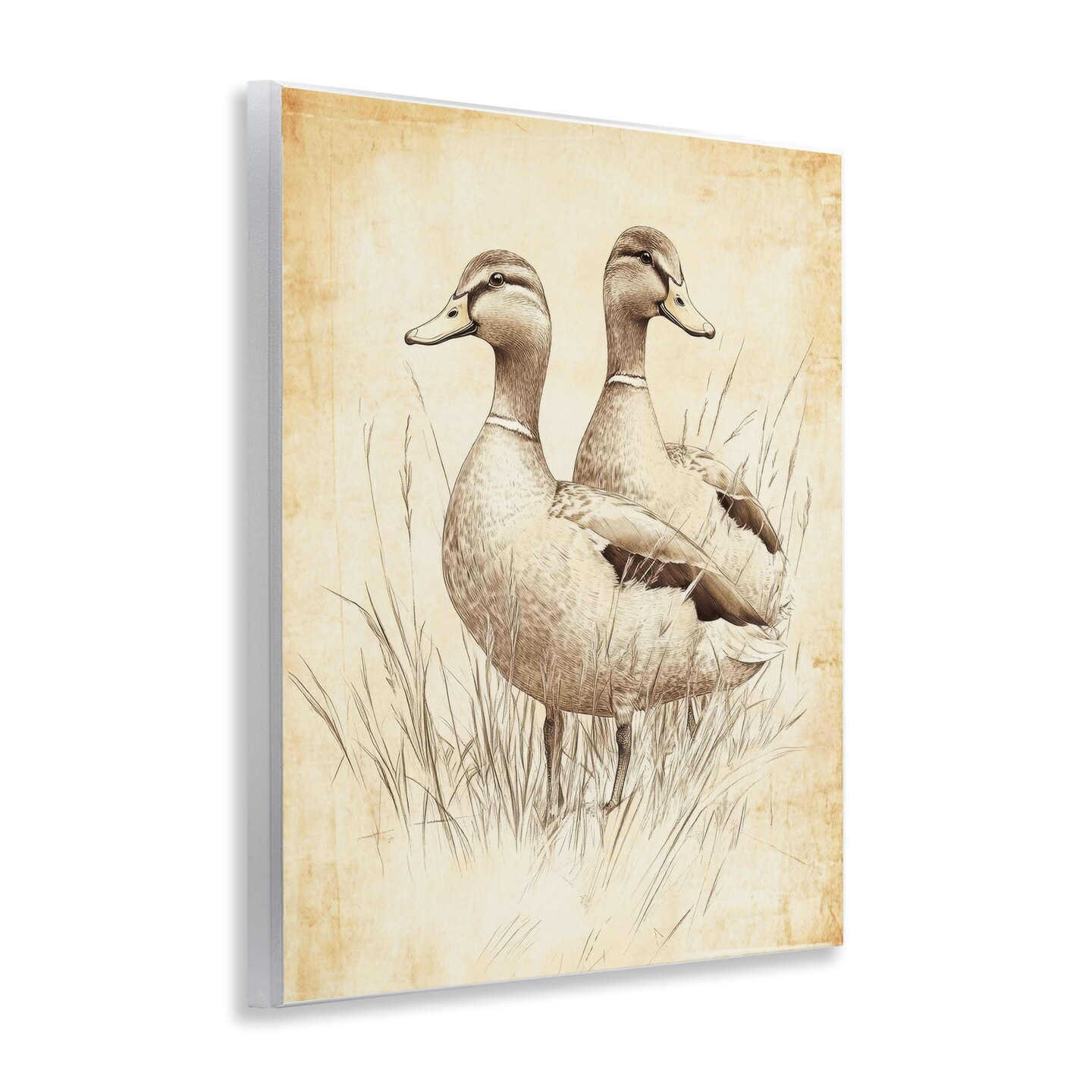 Stupell Industries Vintage Pair of Ducks Wall Plaque, design by Petal Prints Design