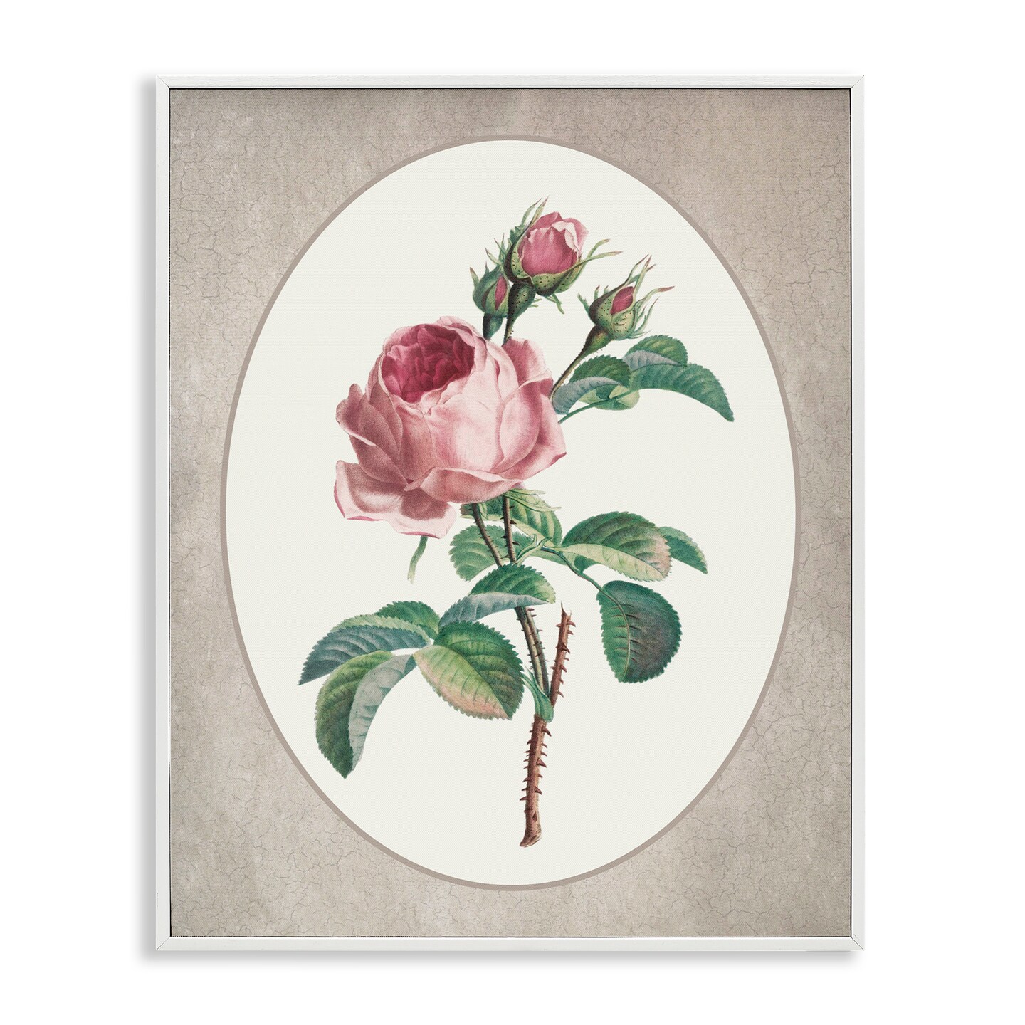 Stupell Industries Vintage Rose within Oval Framed Giclee, design by Lettered and Lined